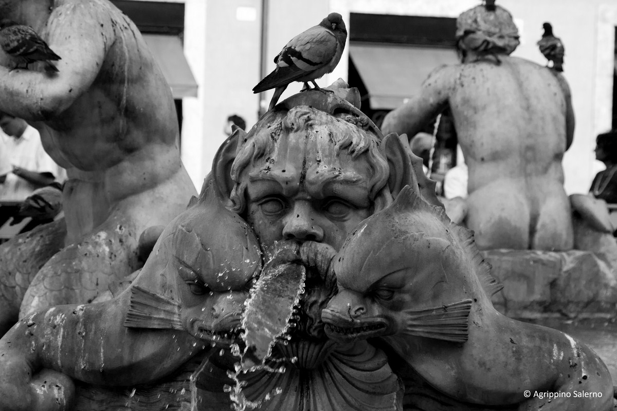 Roma, piazza Navona, fontana del Moro, particolare