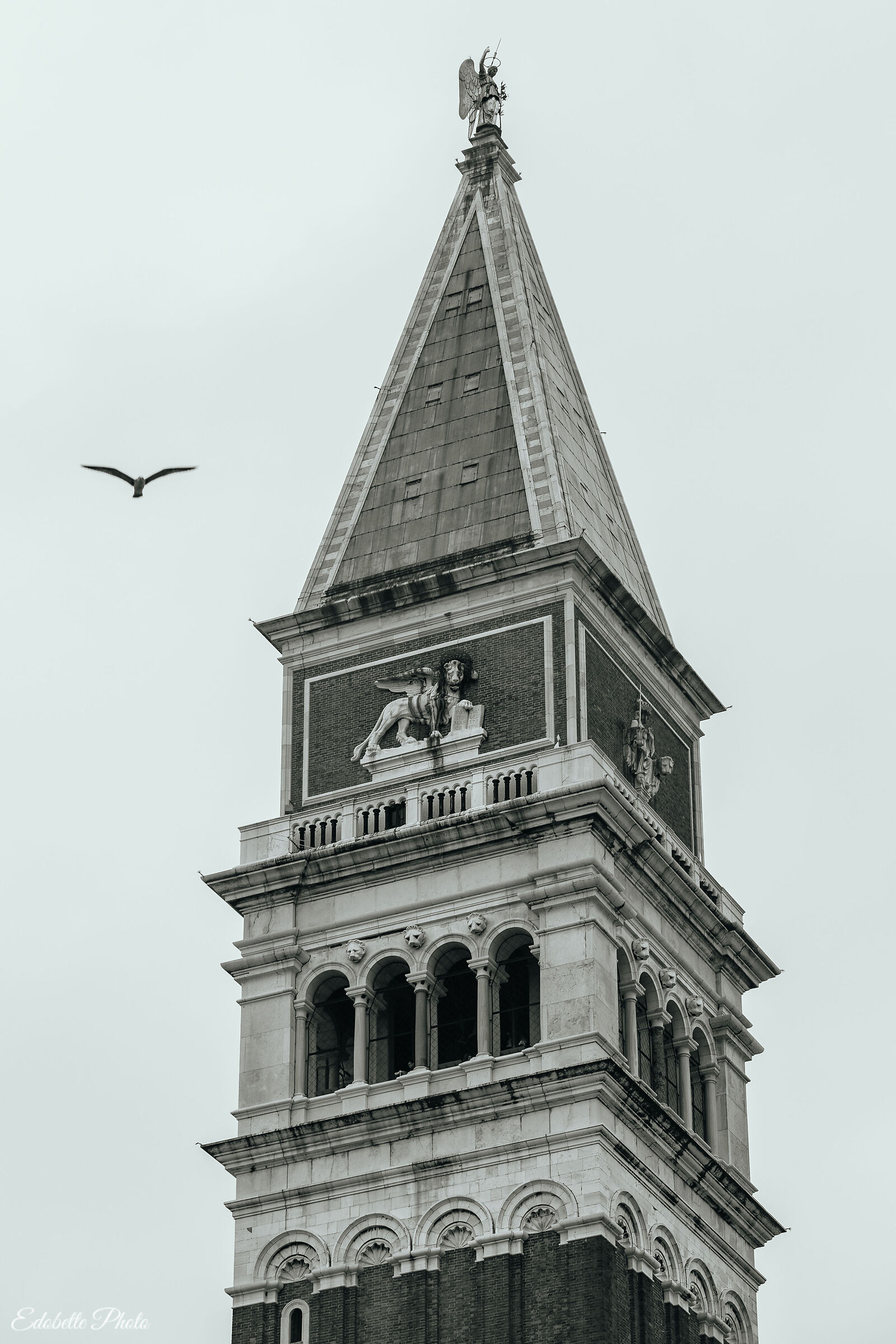 Venezia
