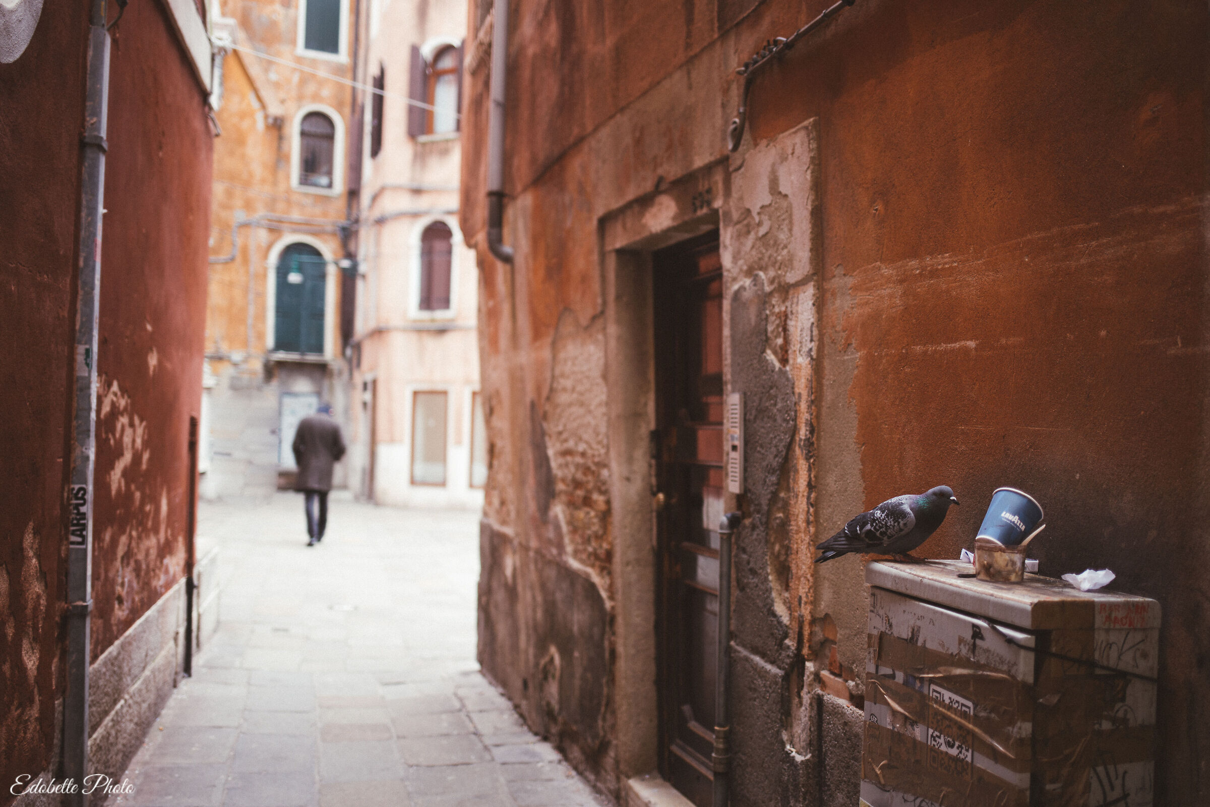 Venezia