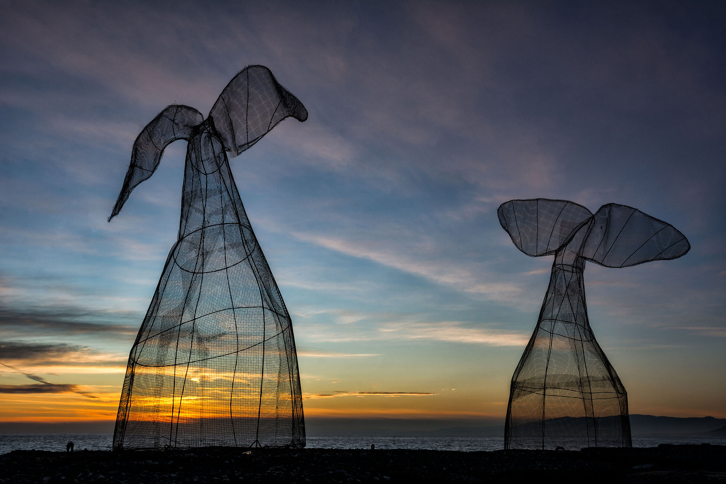 Le due balene