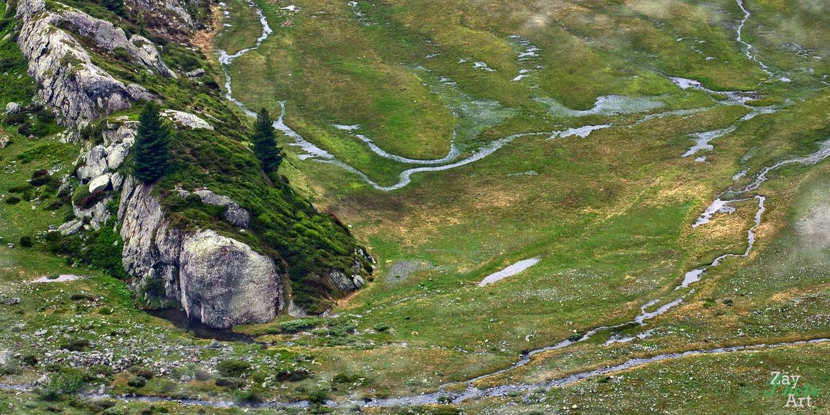 Residues of a snowfield