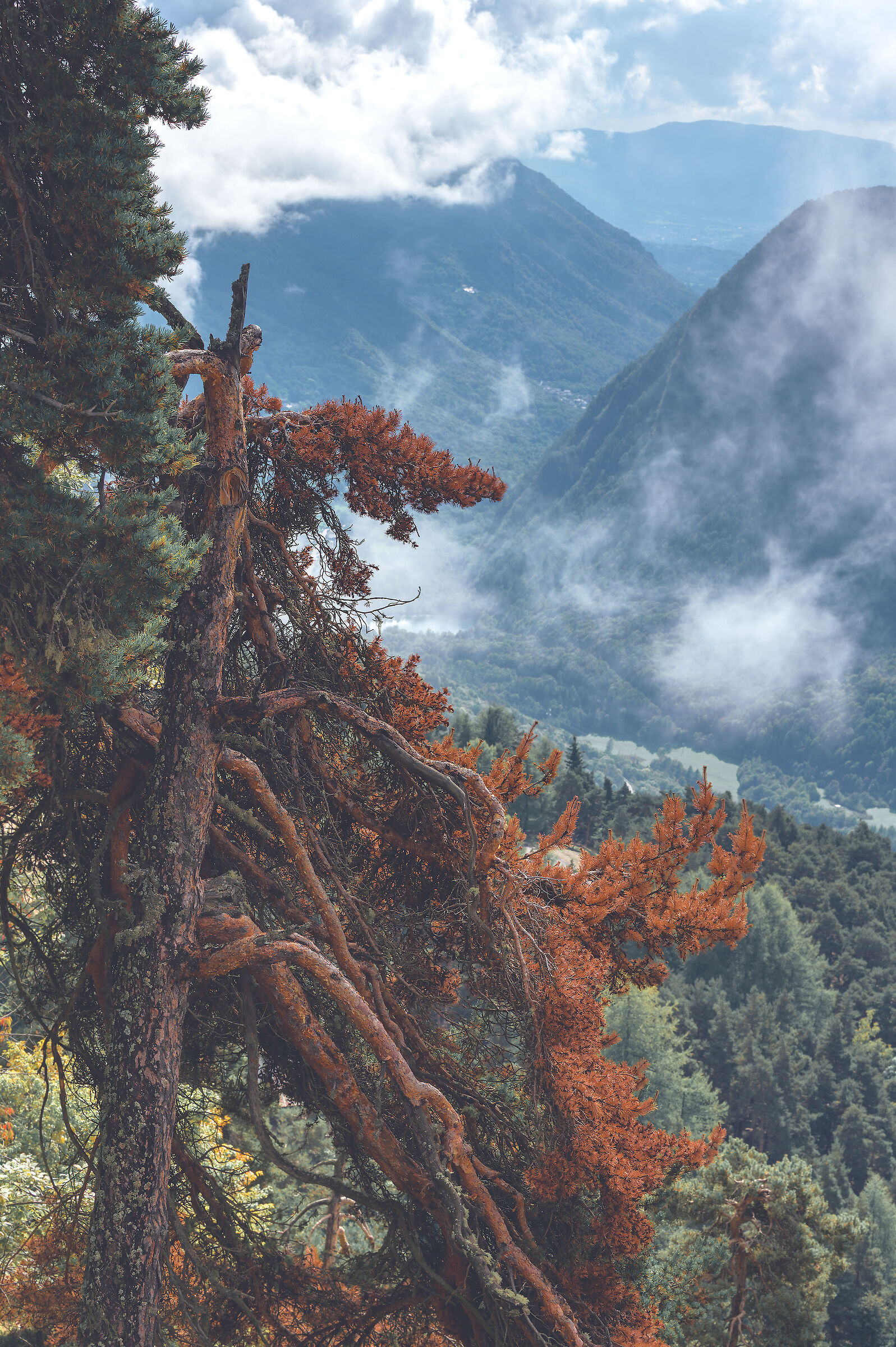 Road to the Selleries refuge