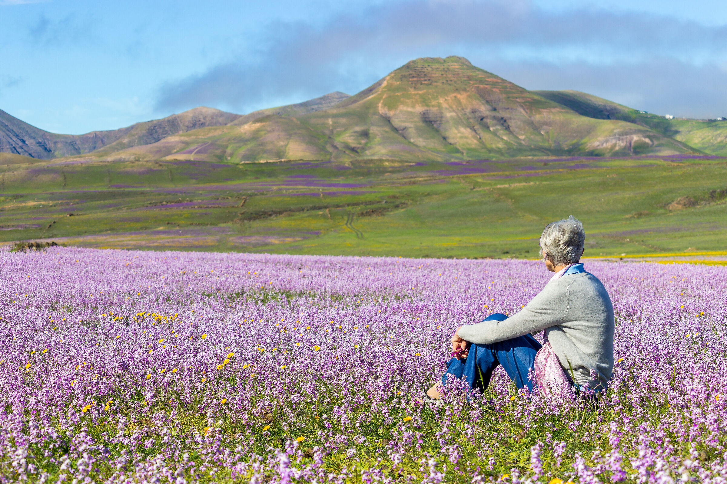 In un mare di fiori.