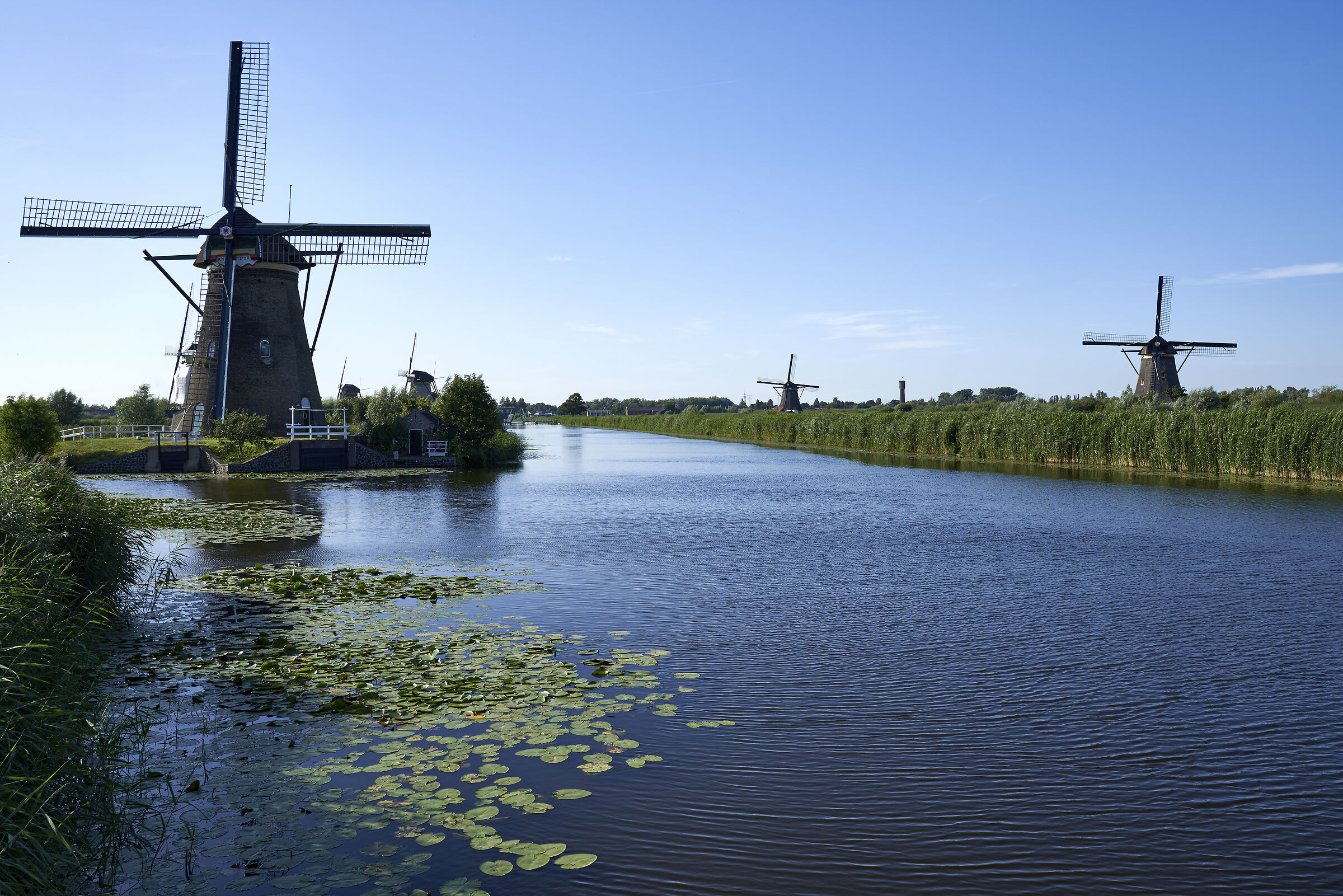 L'assordante silenzio di Kinderdijk