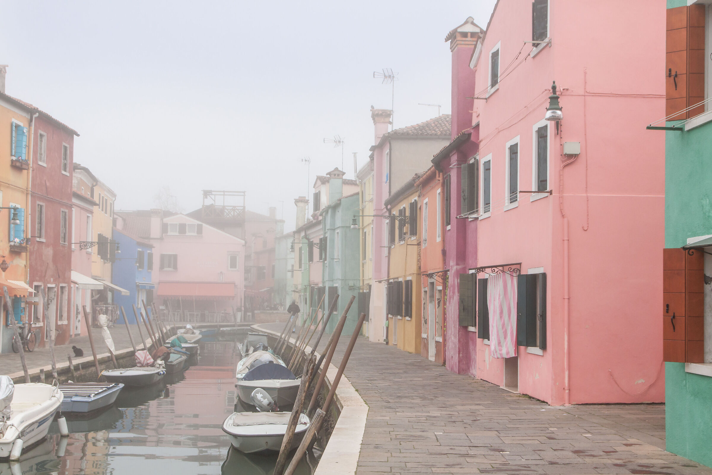 Burano 27/02/2026, con nebbia.