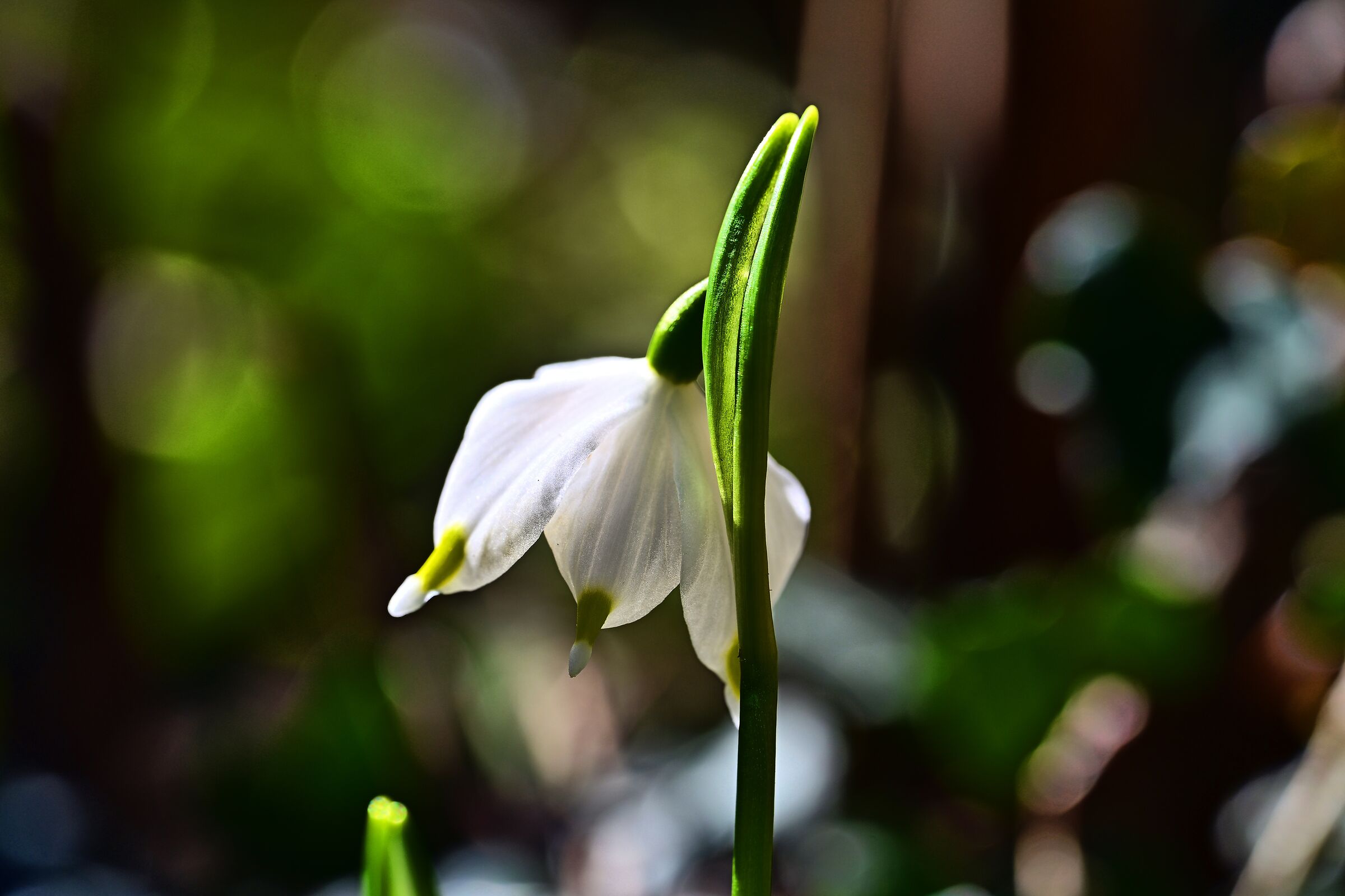 Untitled Photo