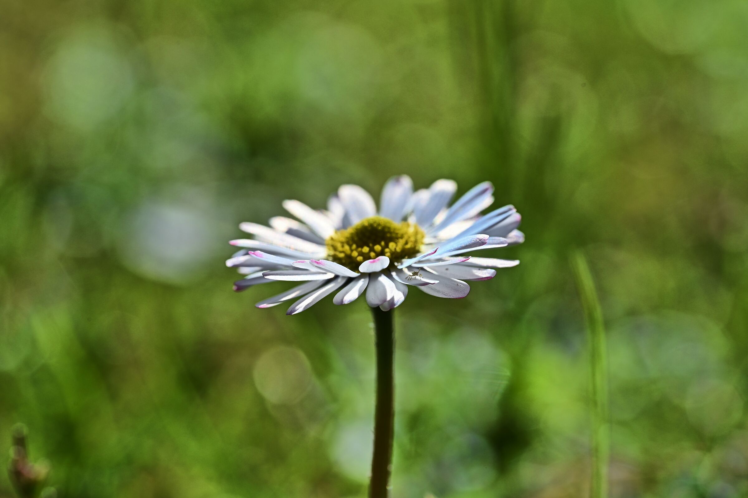 Untitled Photo