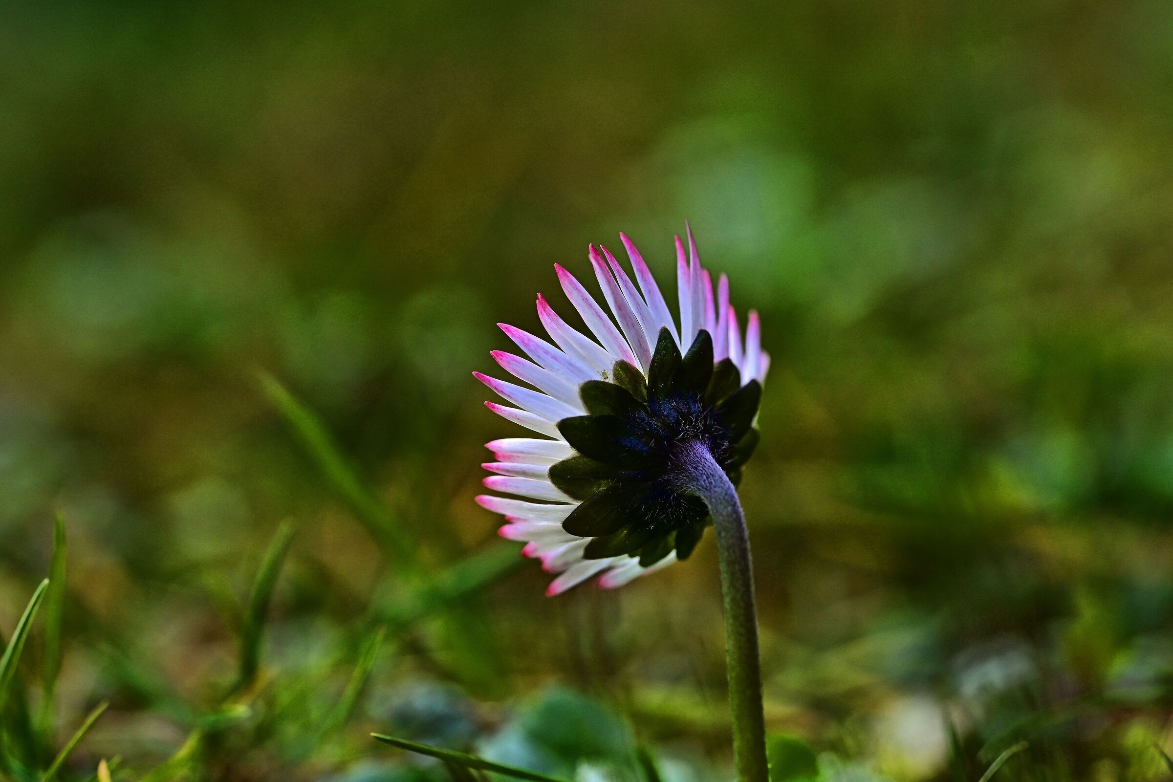 Untitled Photo