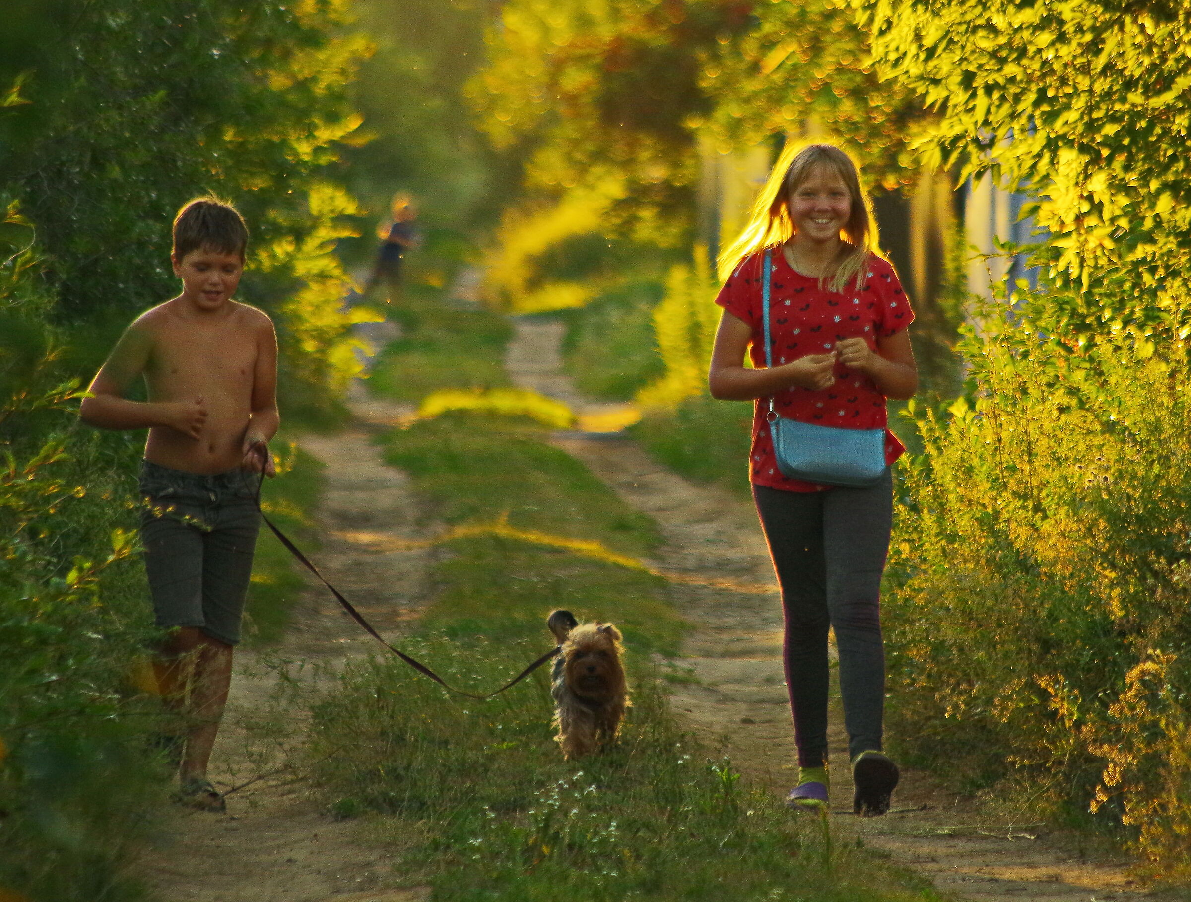 Sun, children and a dog...