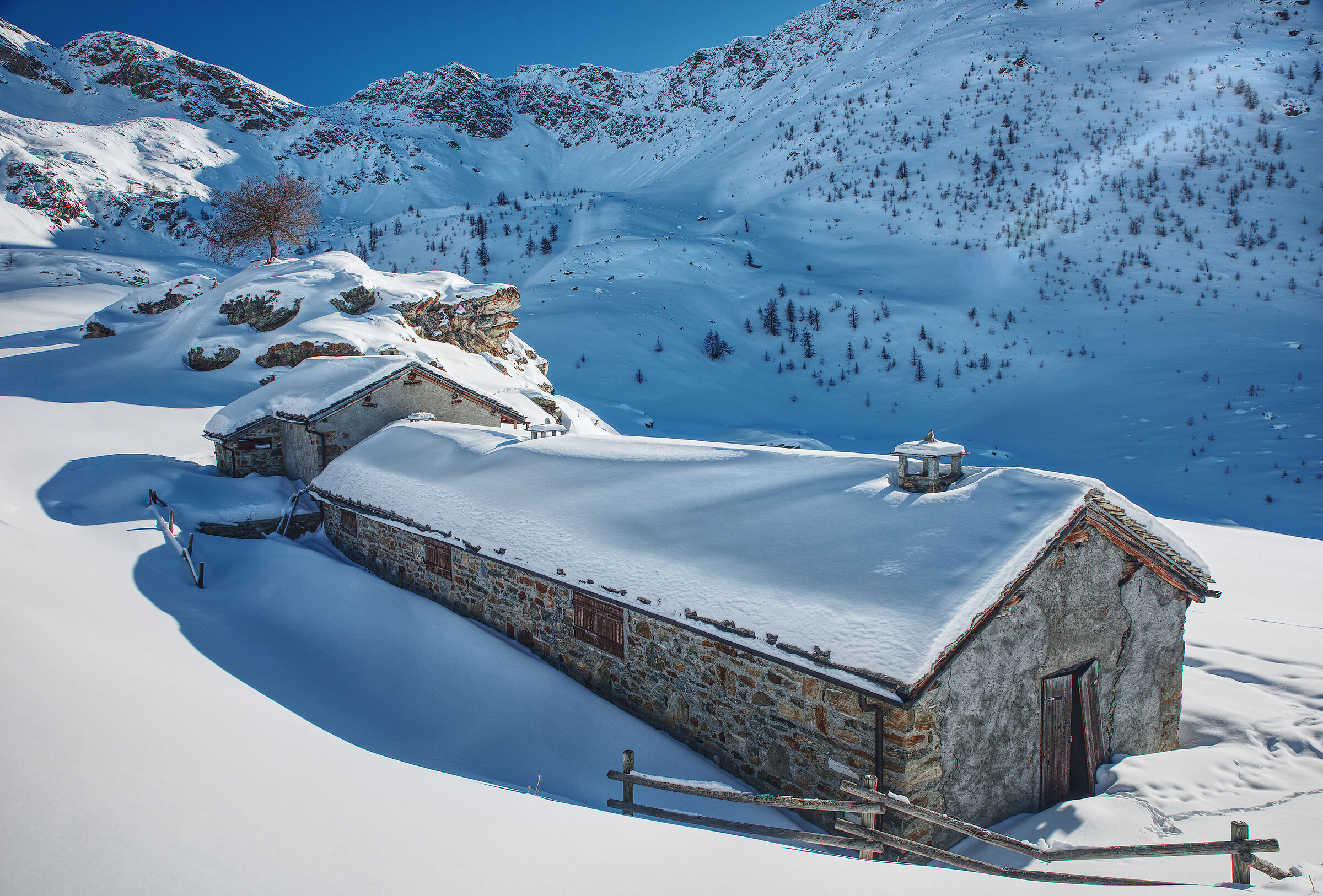 Val d'Aosta-gennaio 2024 ciaspolata Artaz-Alpe Champlon