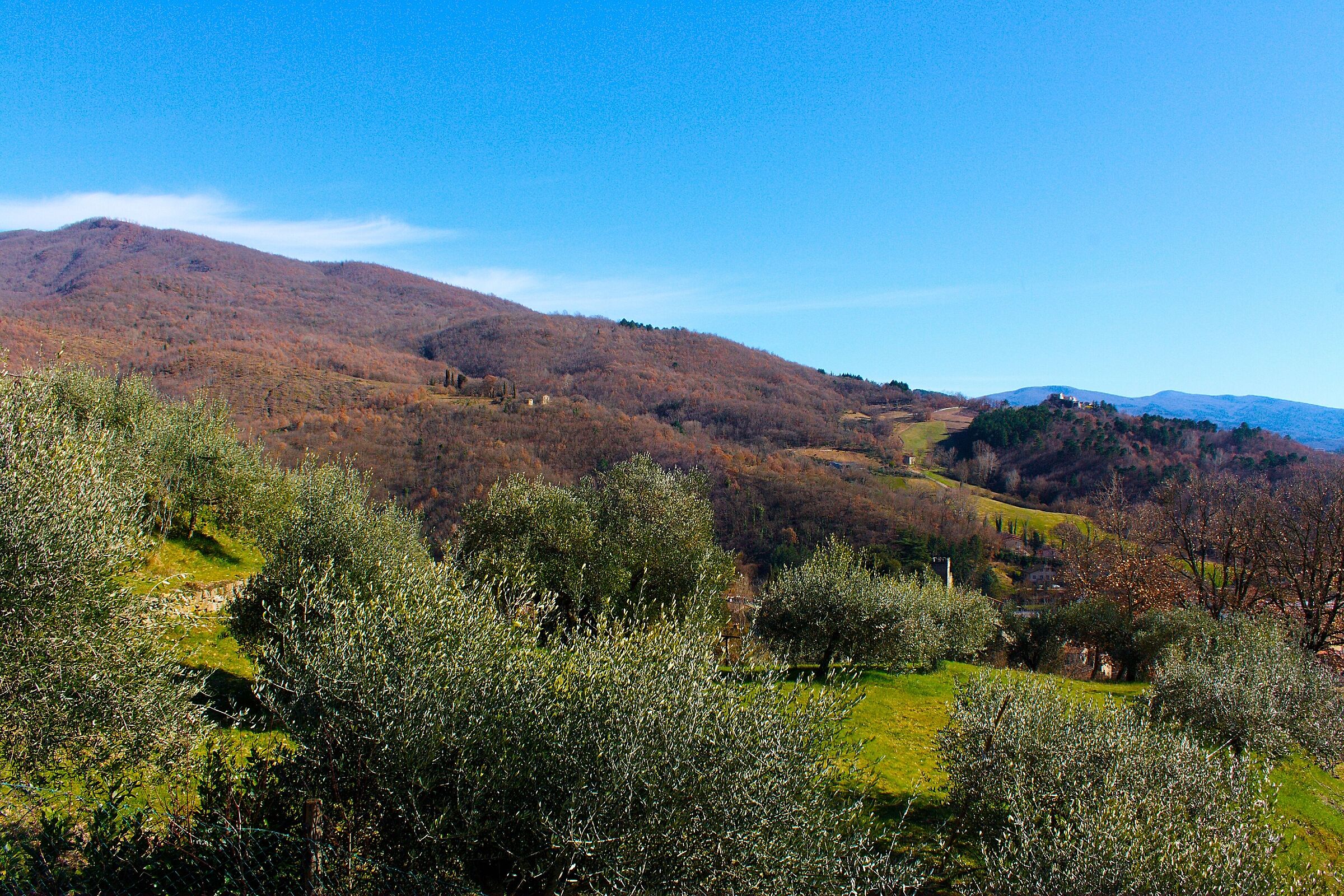 Panorama