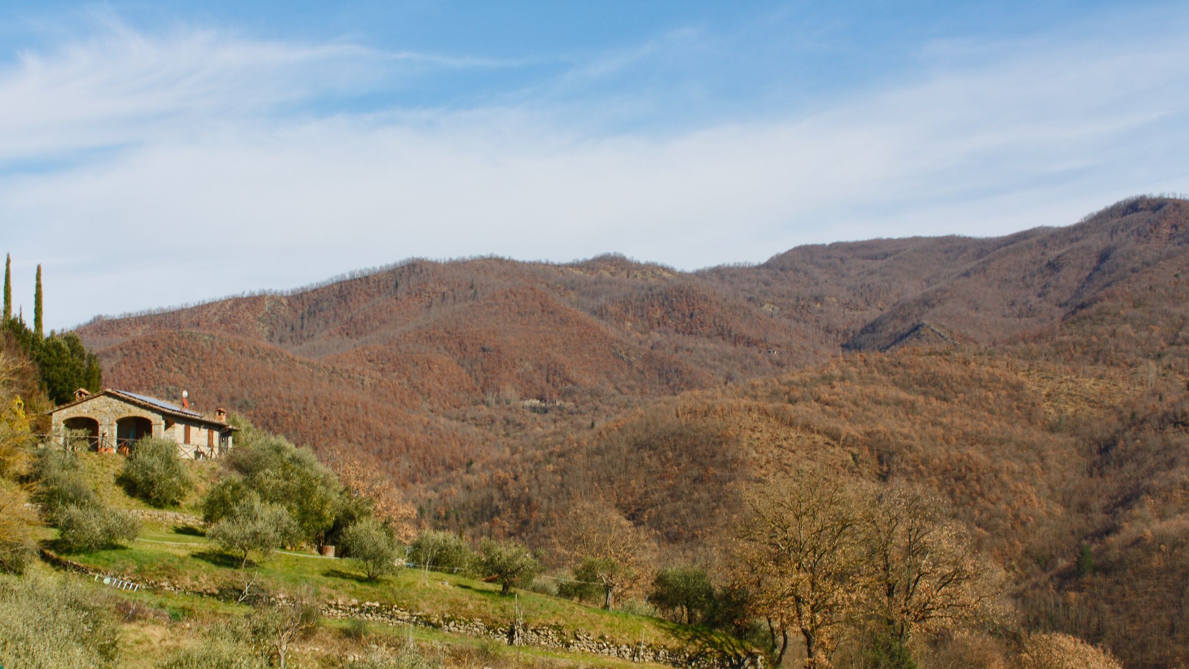 Panorama 3