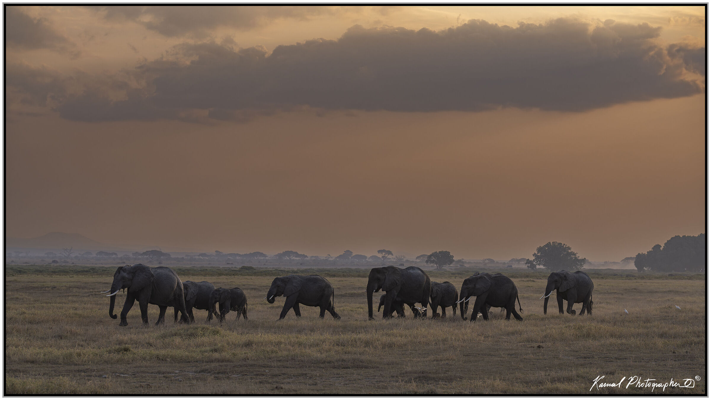 Amboseli national Park