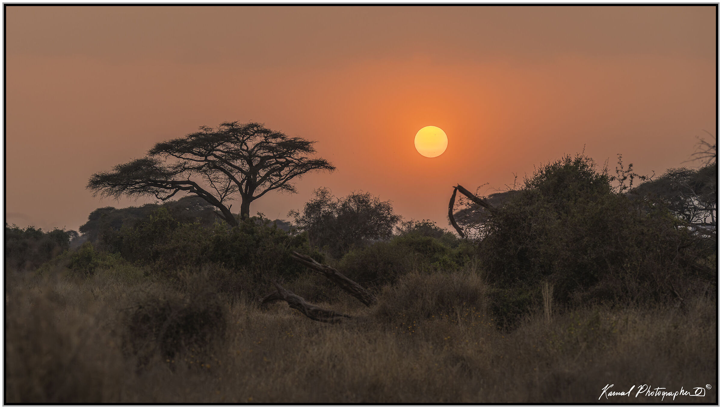 Amboseli national Park
