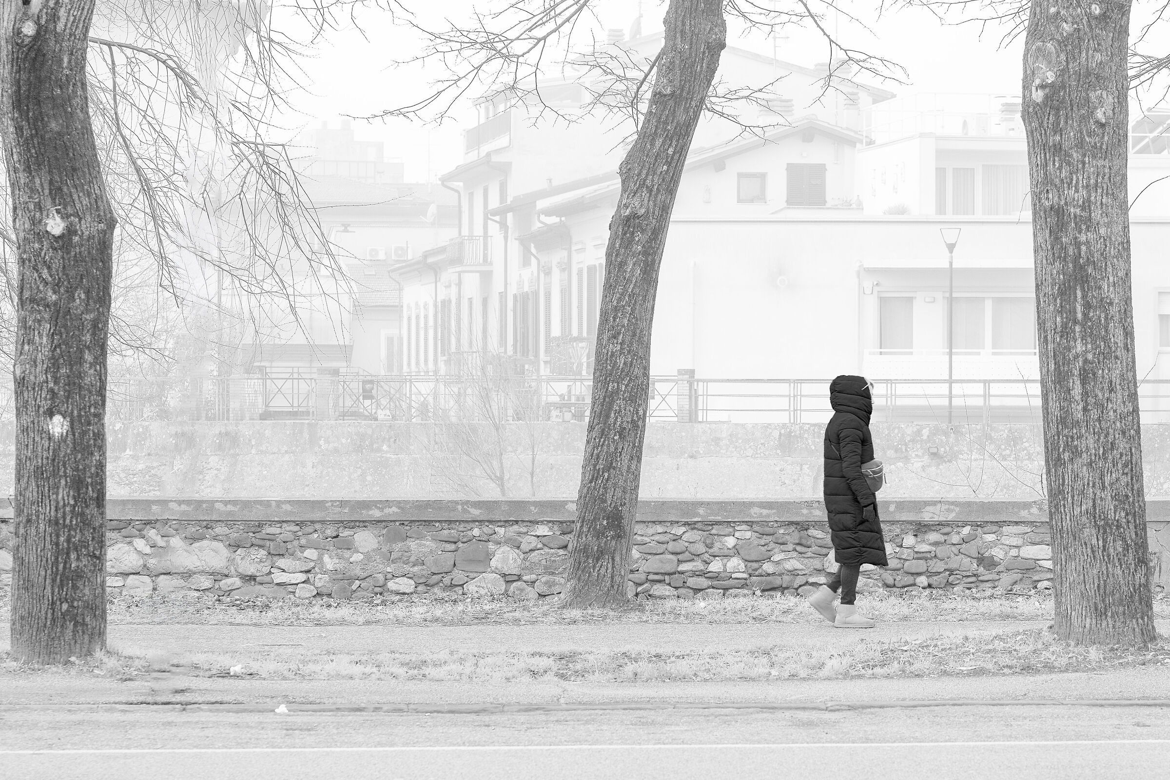 "Gloomy" days 2