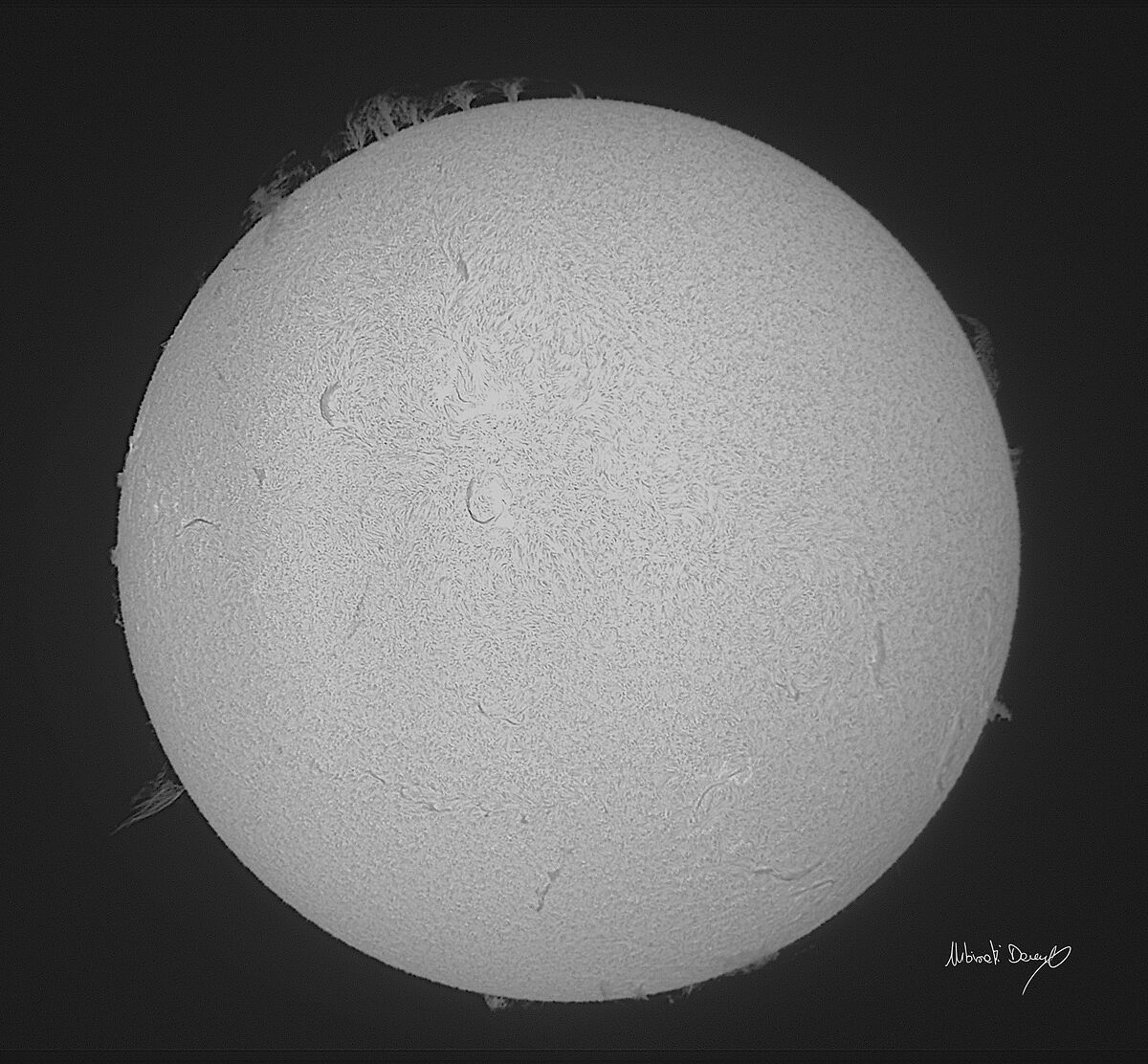 Sole di febbraio in b/n