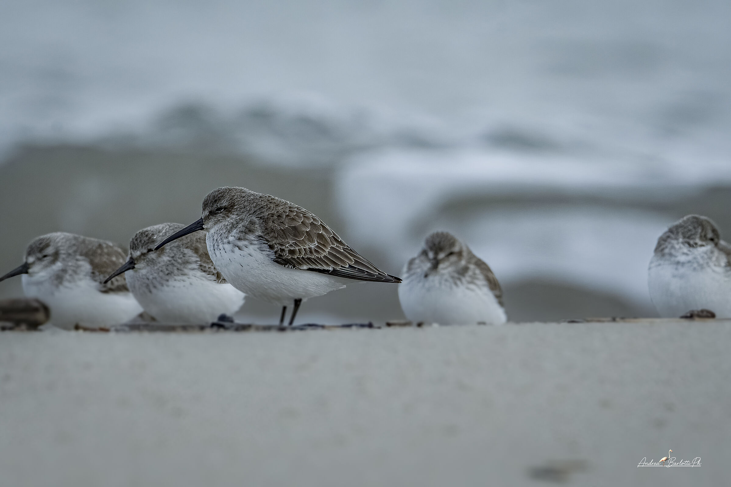 On the undertow