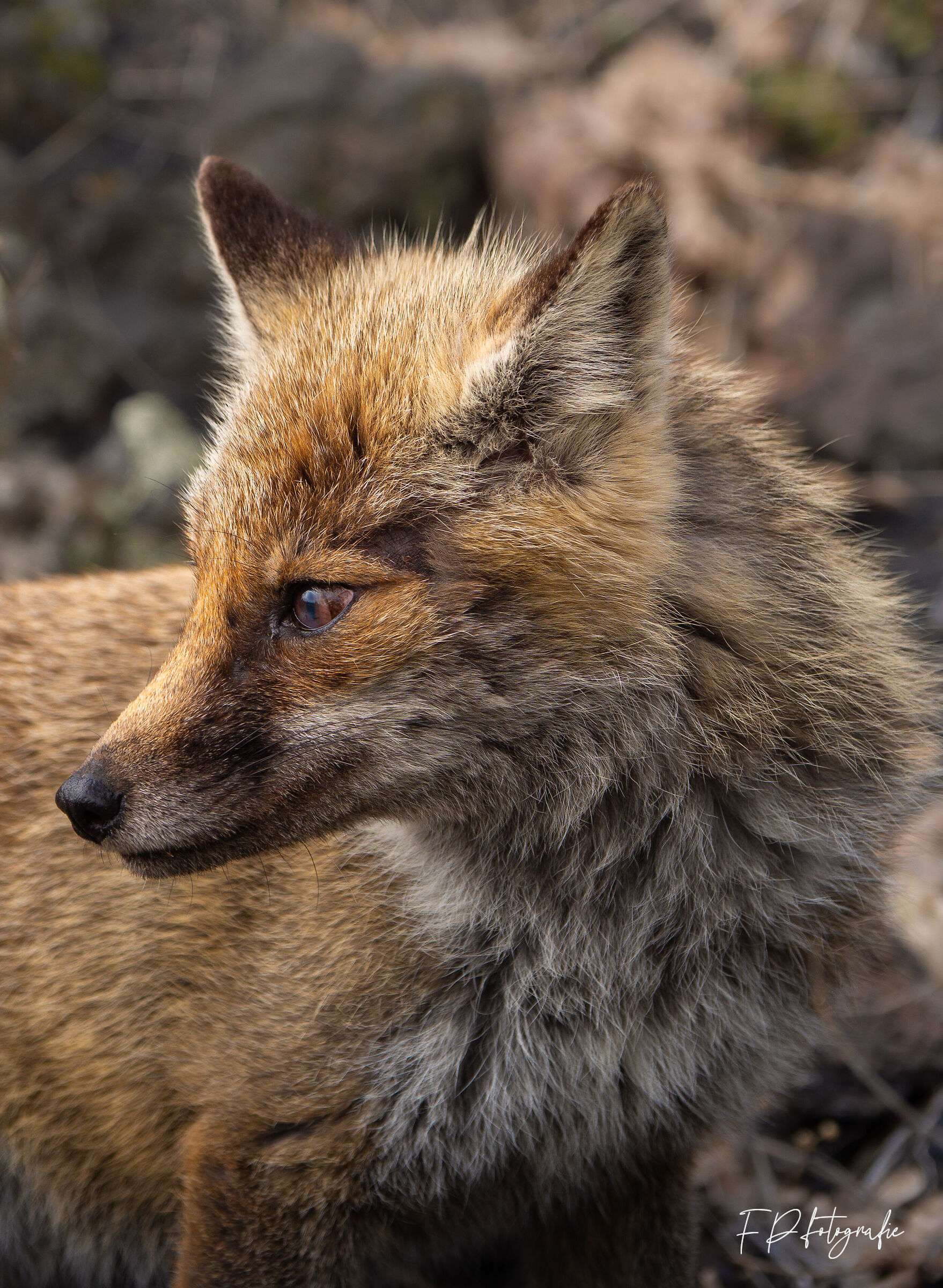 Finalmente.. dopo tanti anni