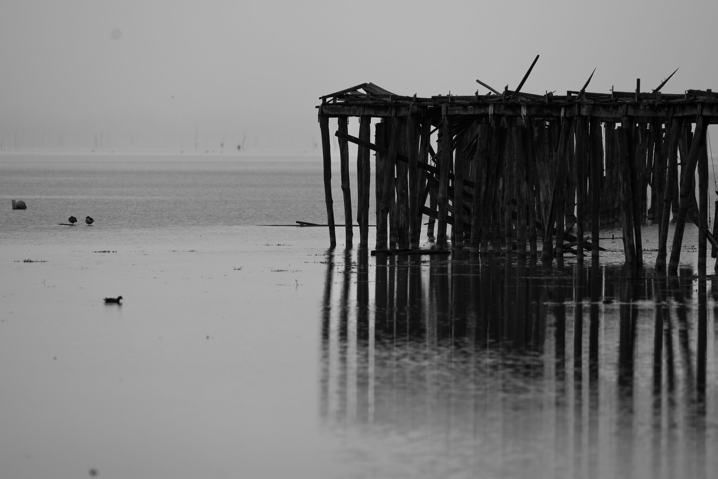 Old pier