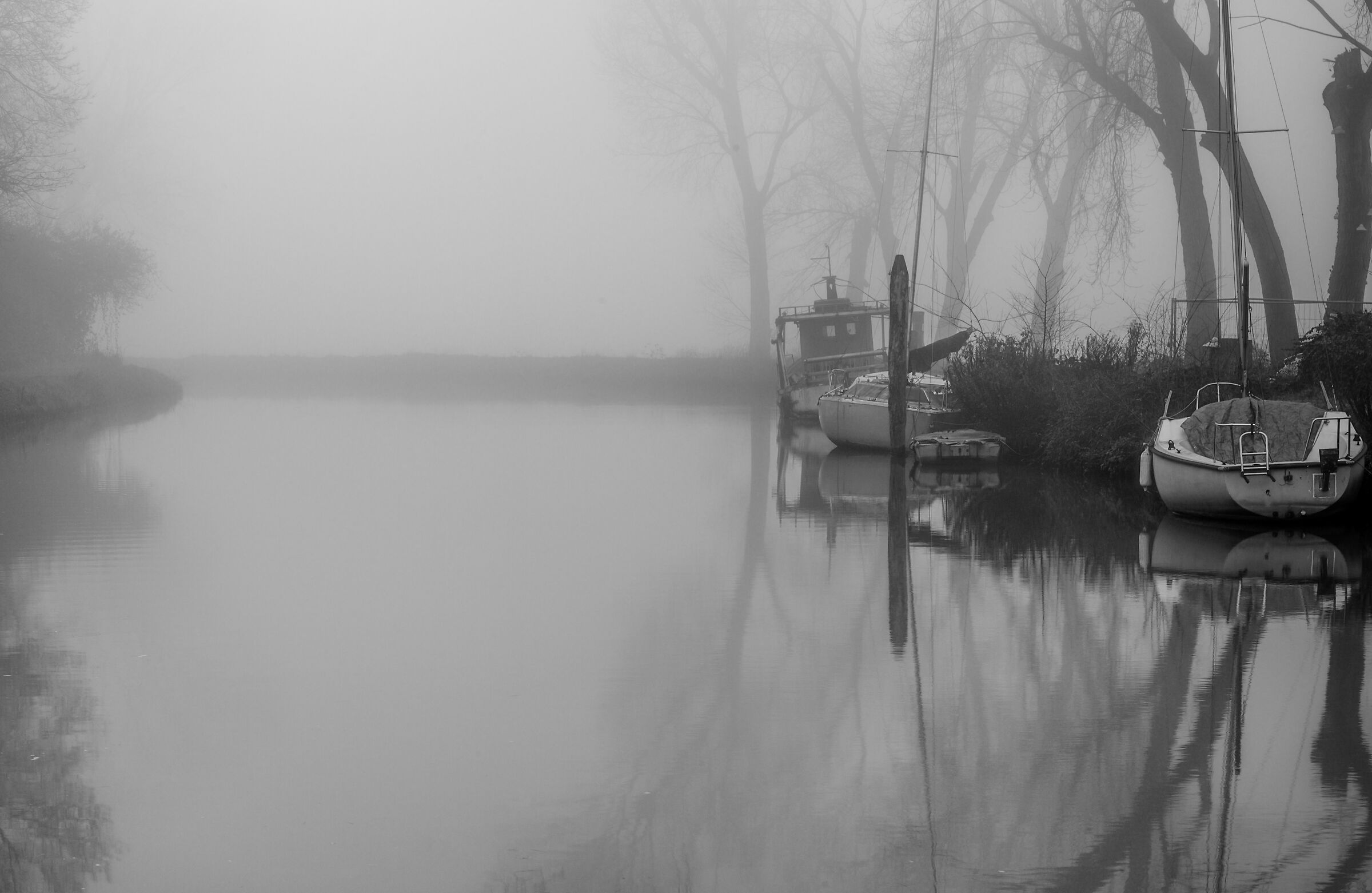 nebbia 1