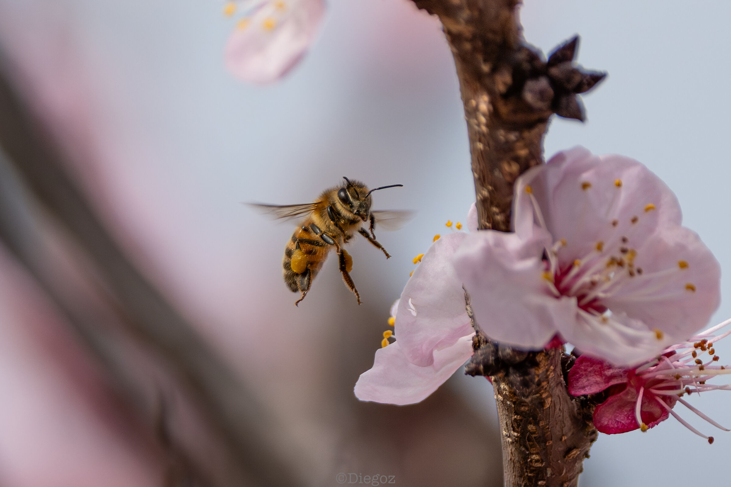 Untitled Photo