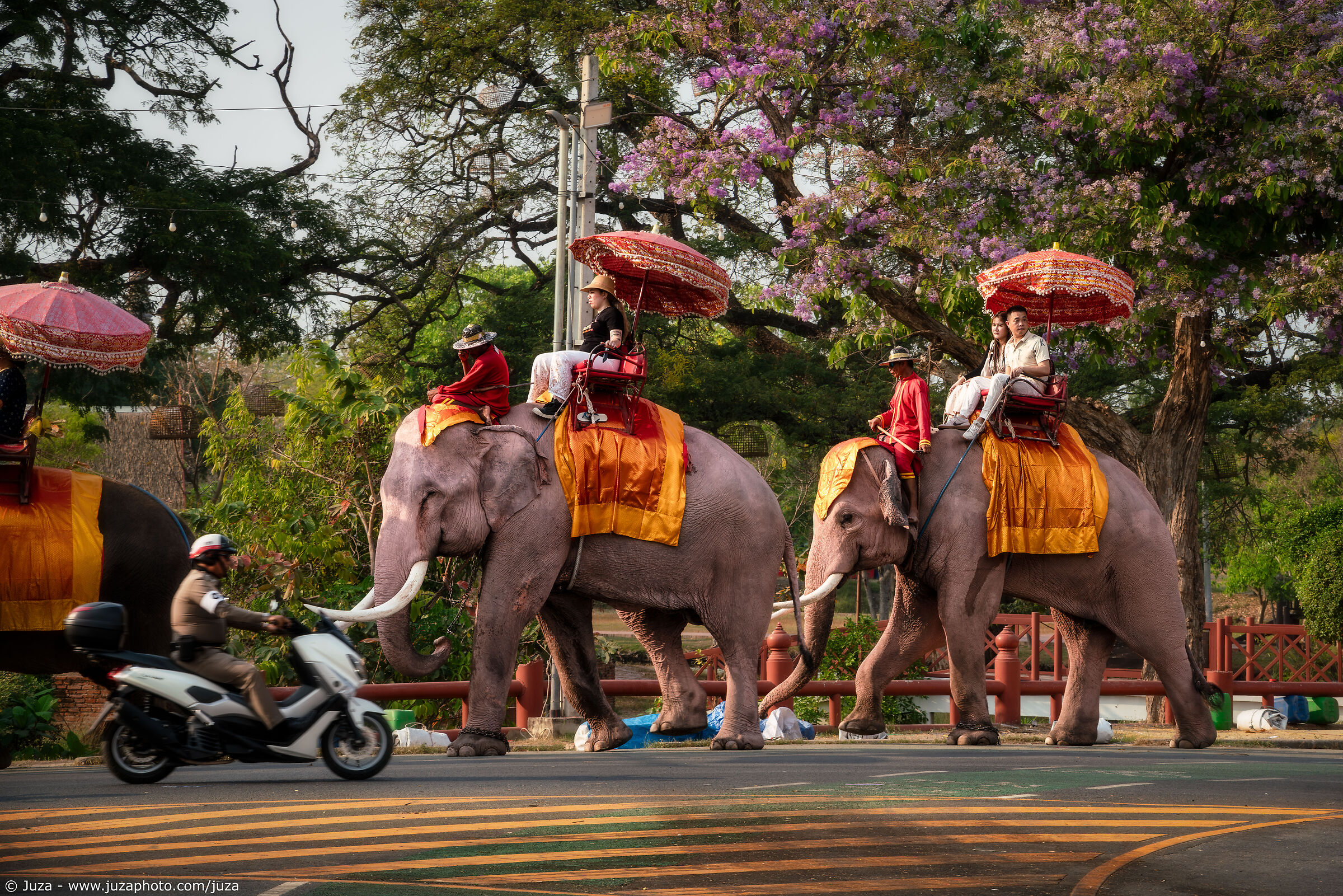 Traffico a Ayutthaya