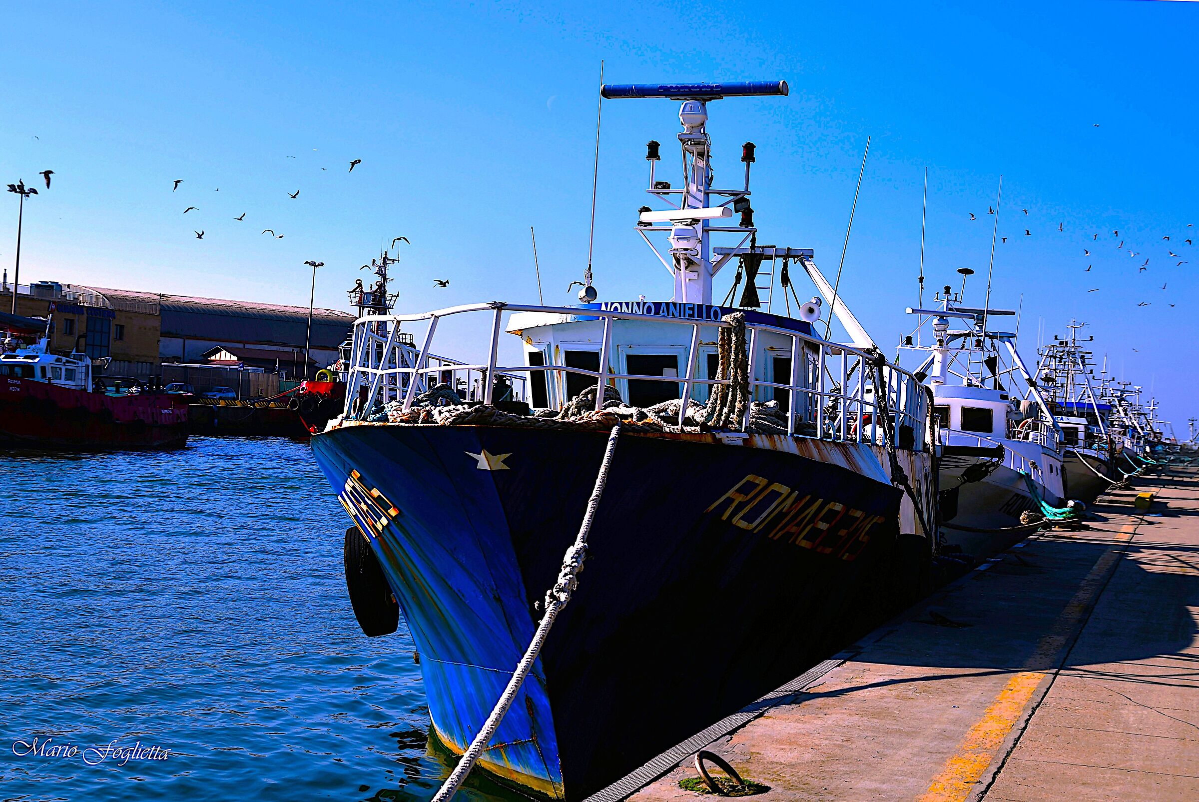 Under the flight of seagulls