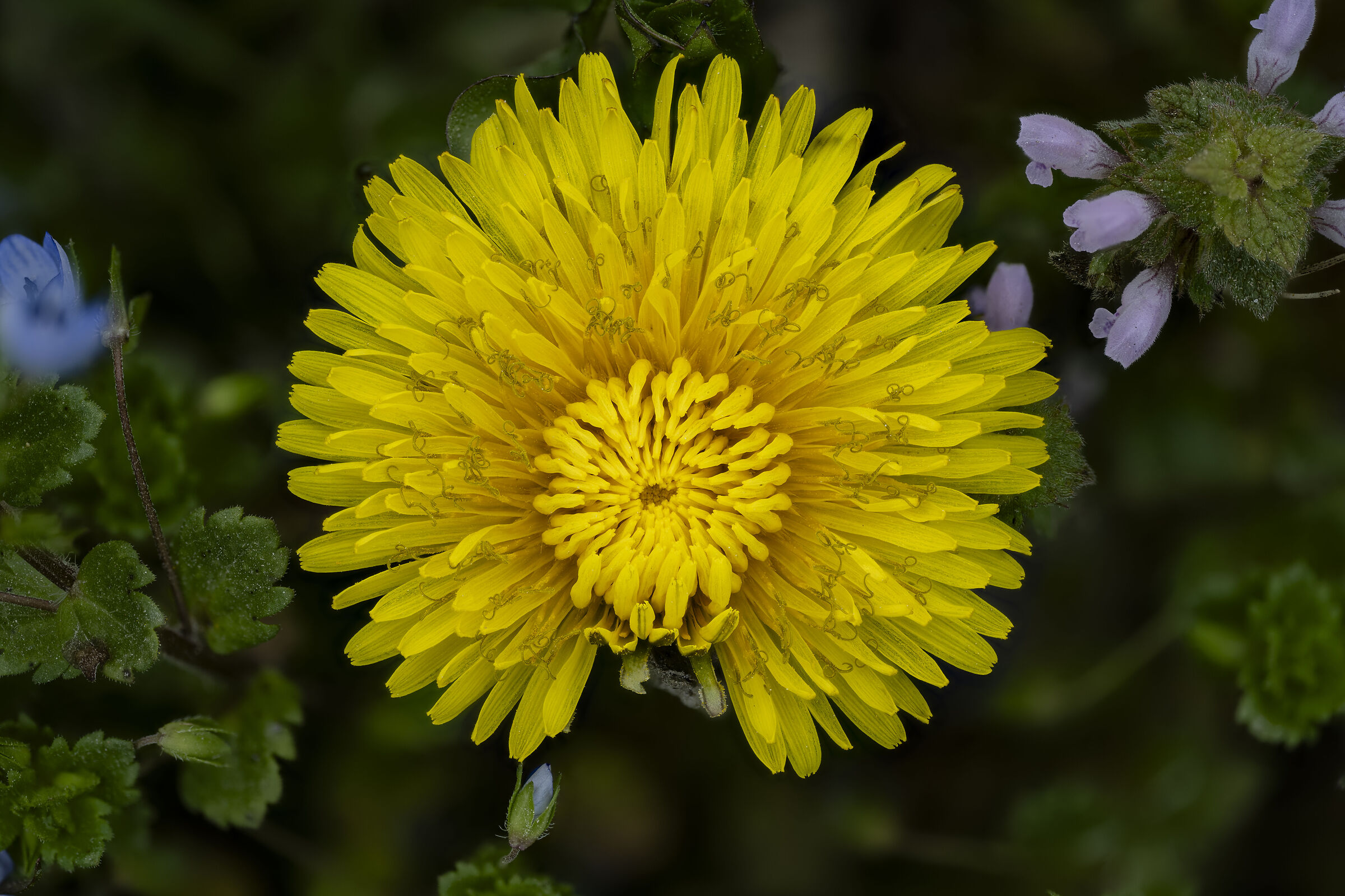 La bellezza della imperfezione