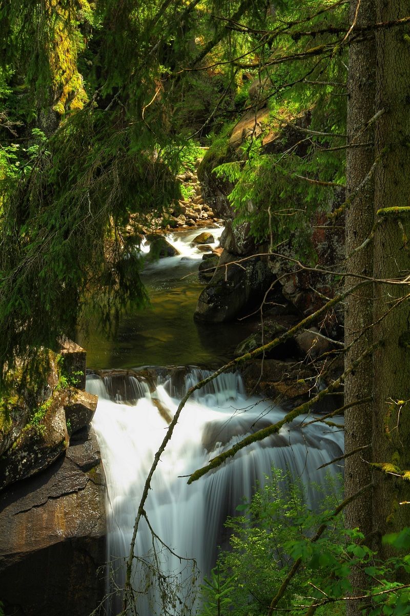 Torrente Tavignolo - Val Venegia -