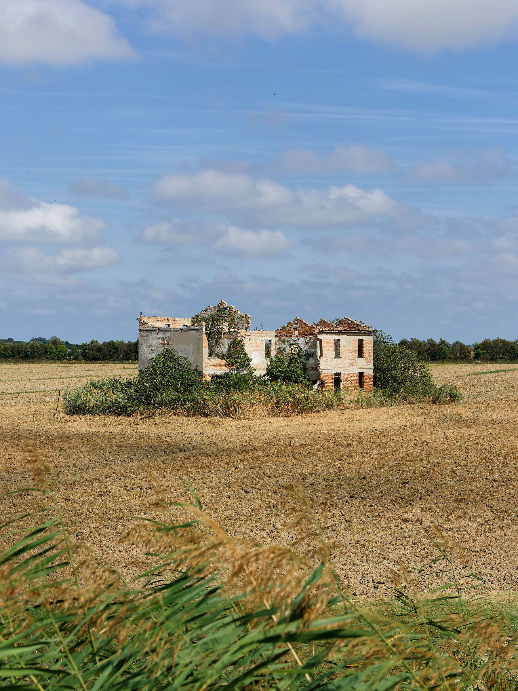 Il Polesine ed il delta del Po