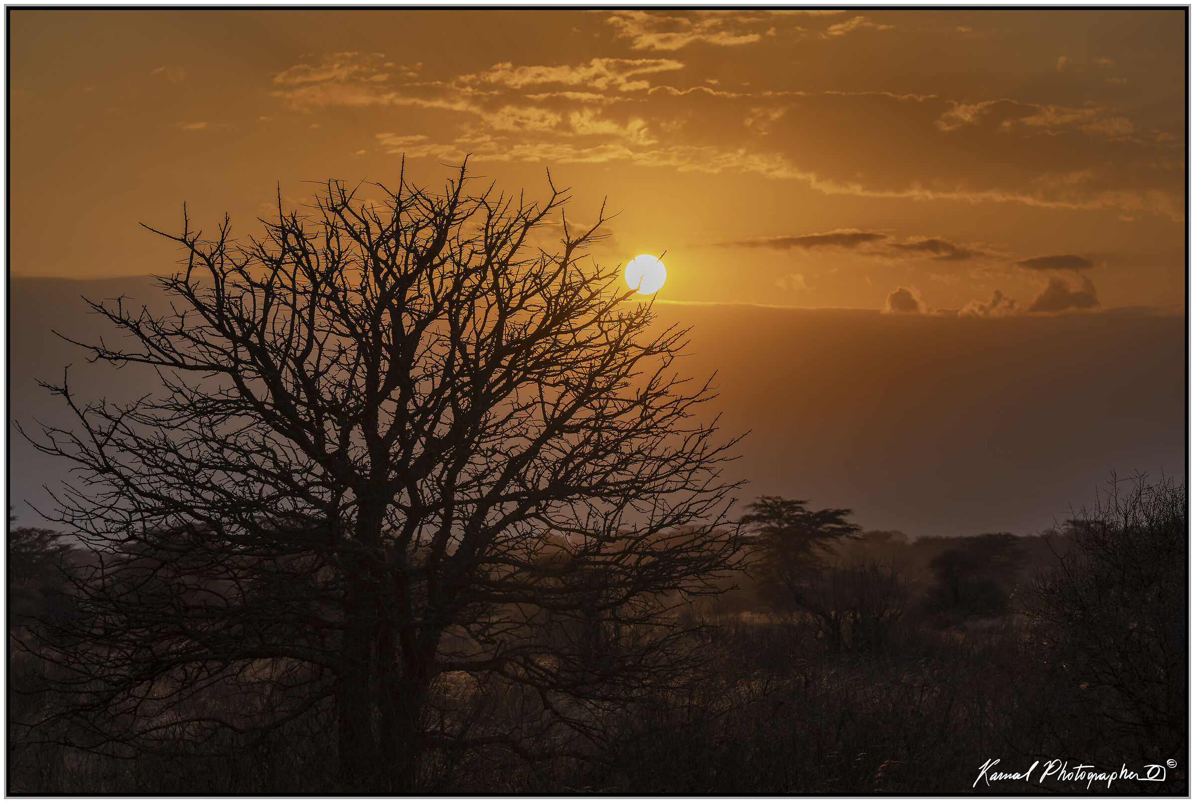 Amboseli national Park