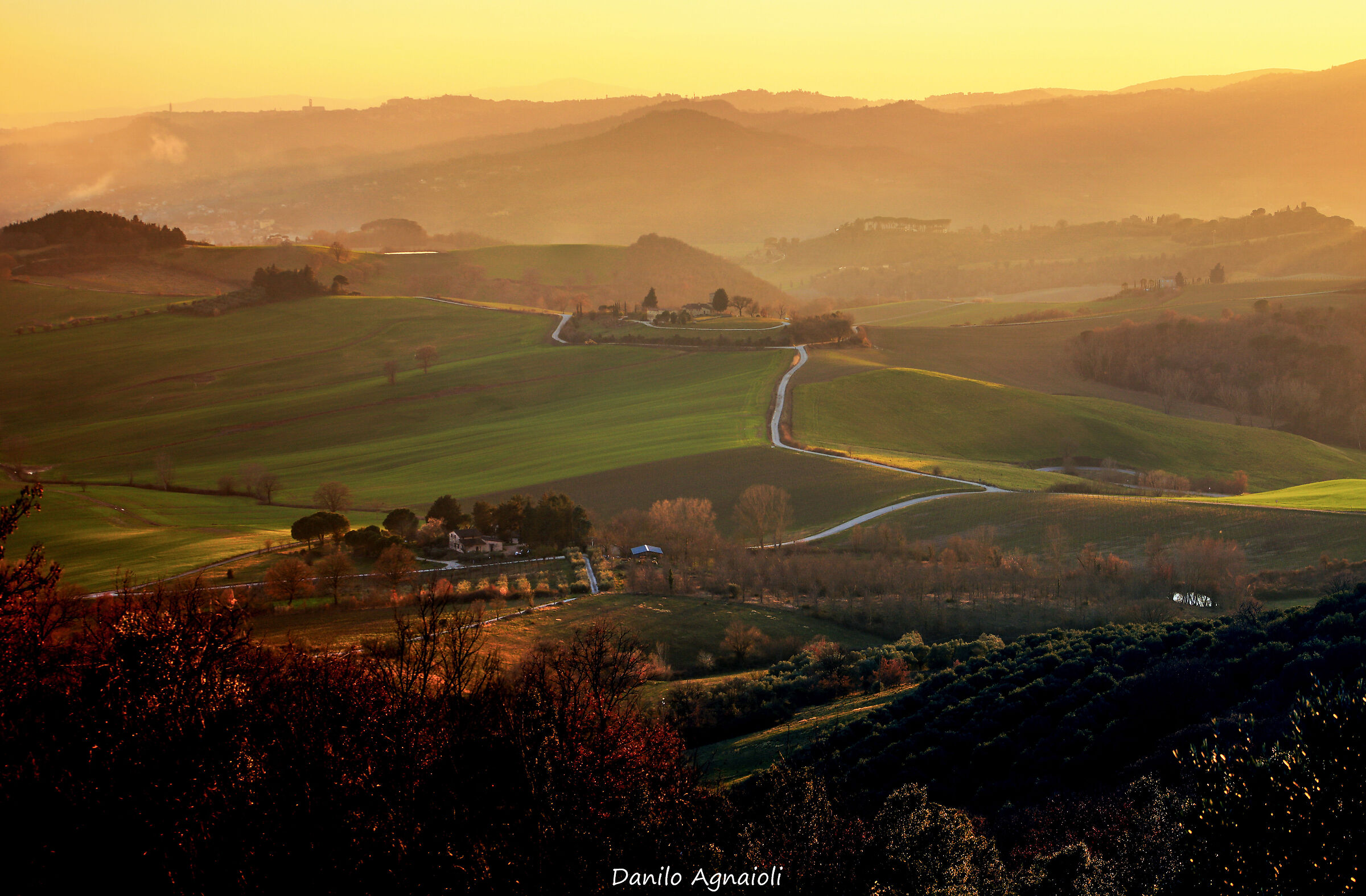 The hills of Perugino