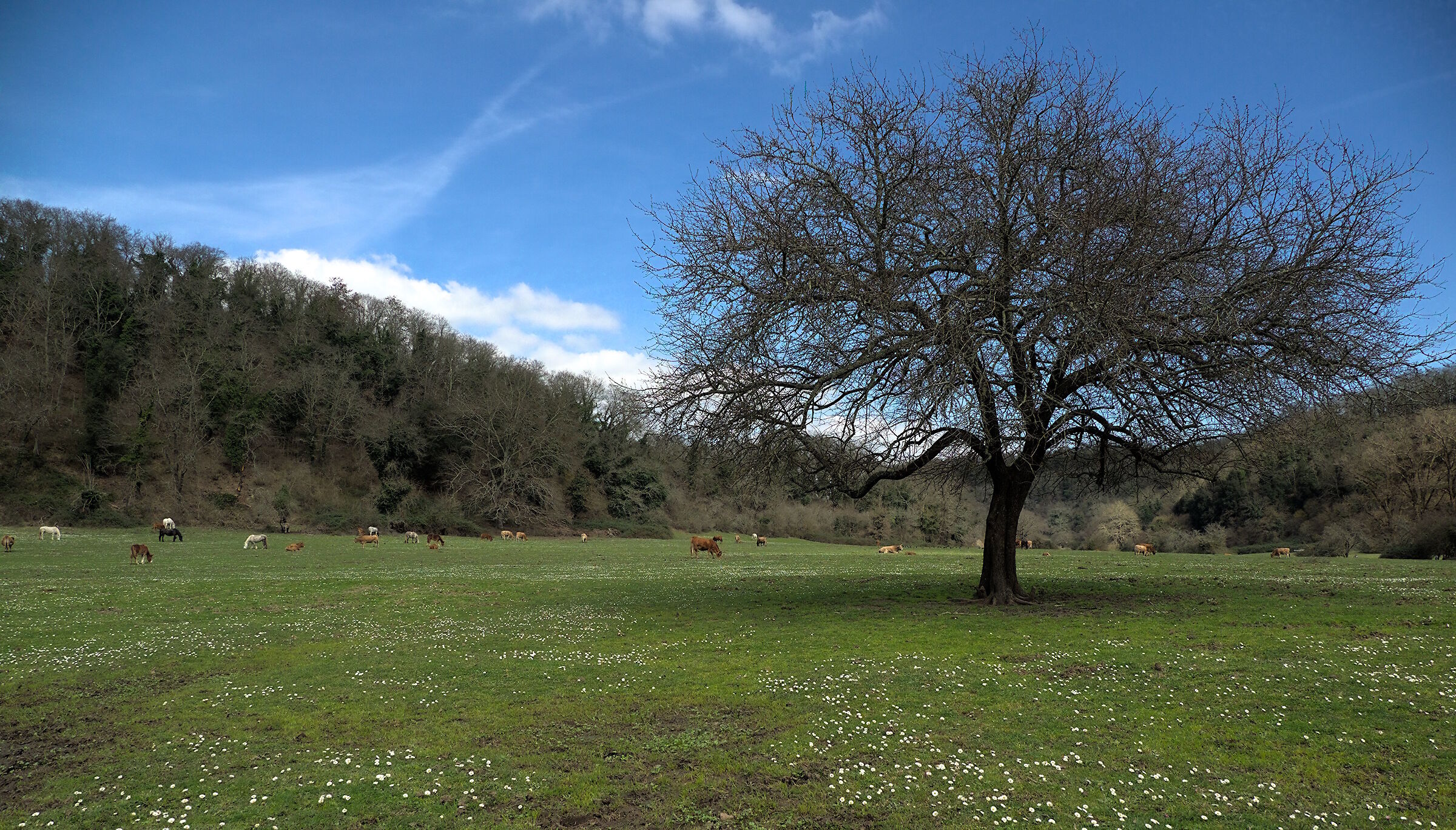 Inverno nel Parco di Veio