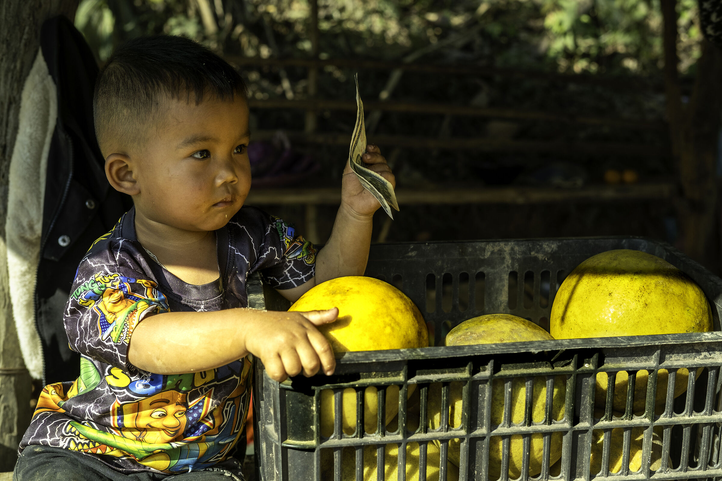 Laos Discovery
