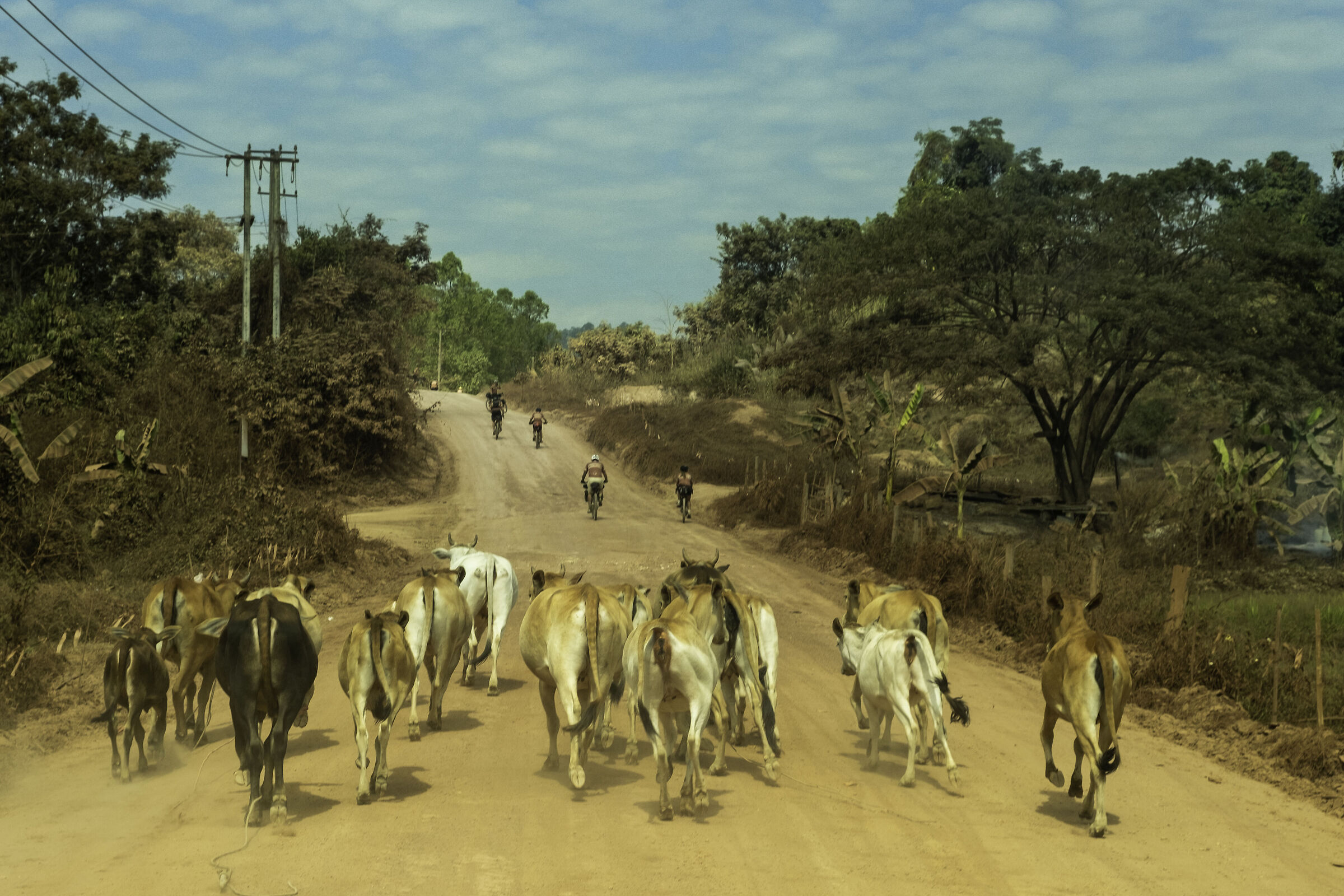Laos Discovery
