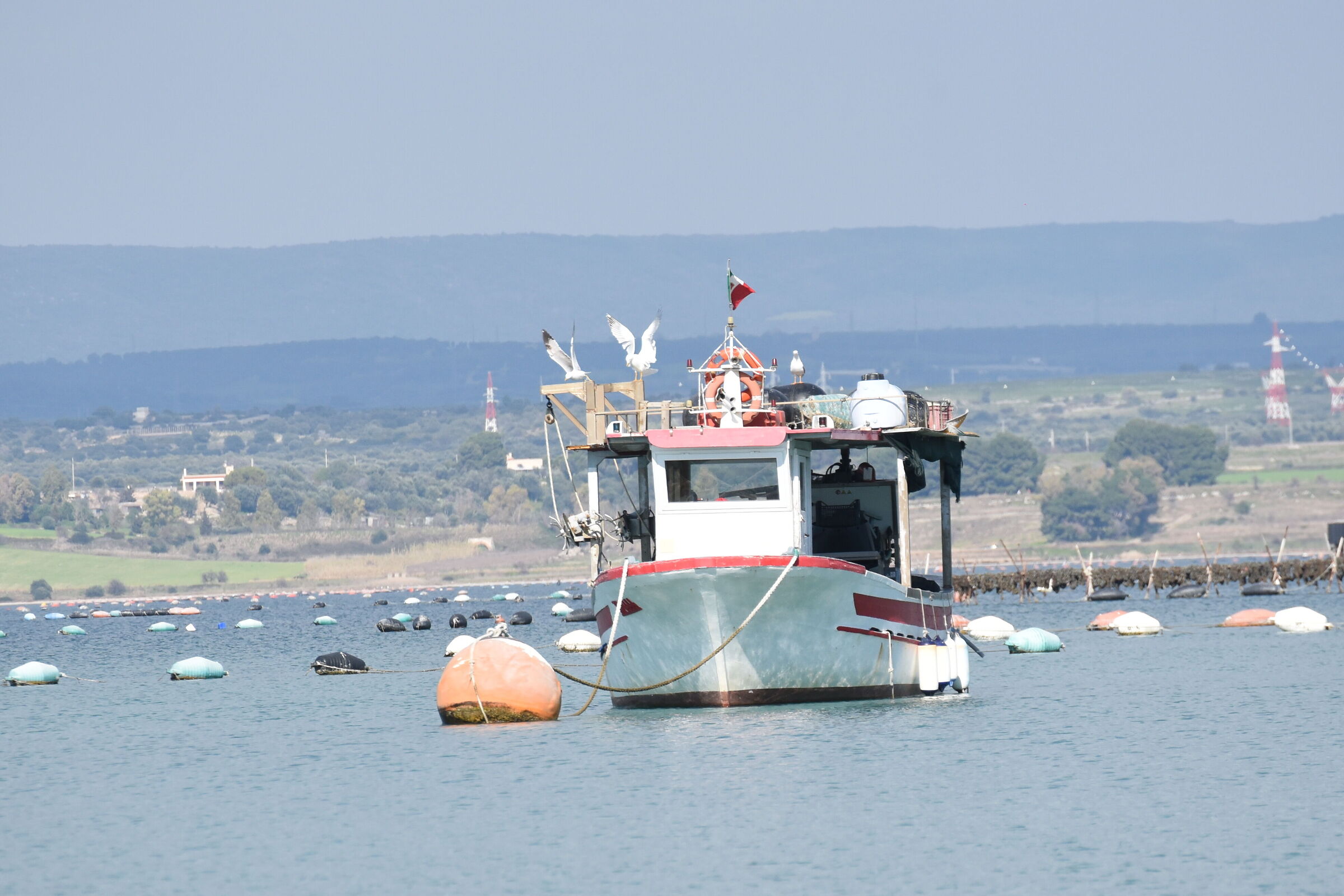 mare su parco cimino taranto