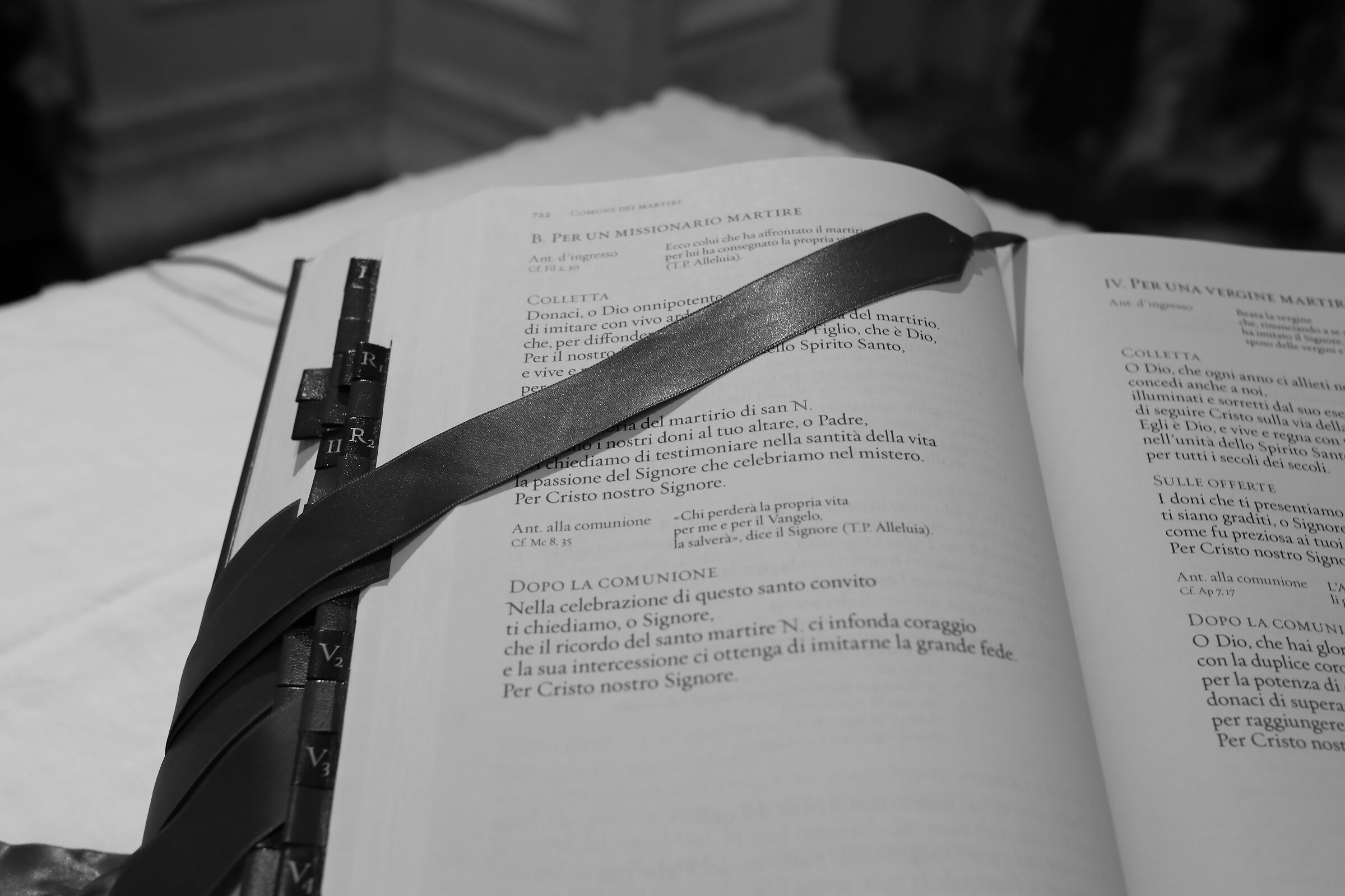 Canon 5 D IV, 35 F. 2 IS Usm