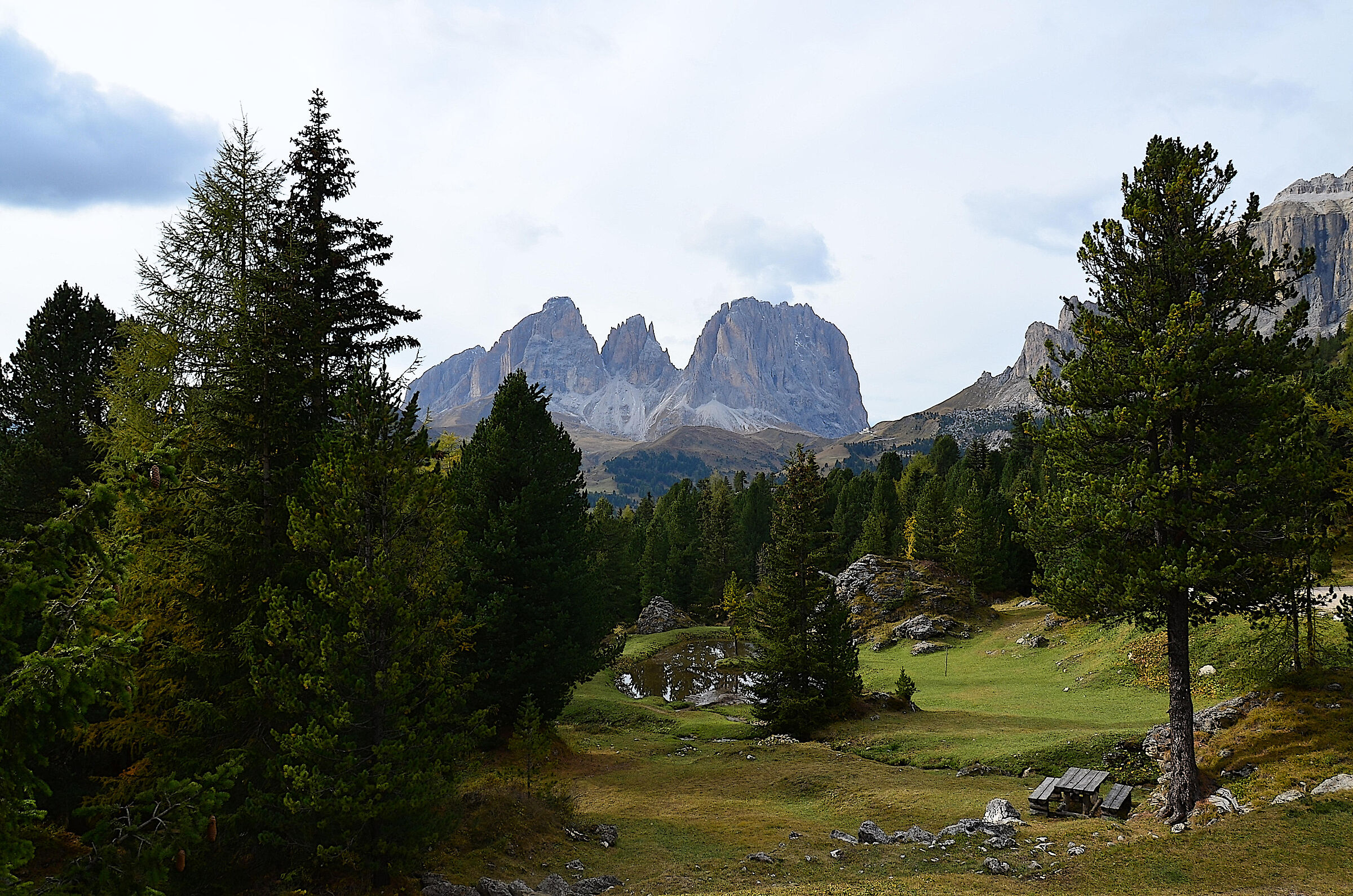 DSC_0472 nature of Trentino