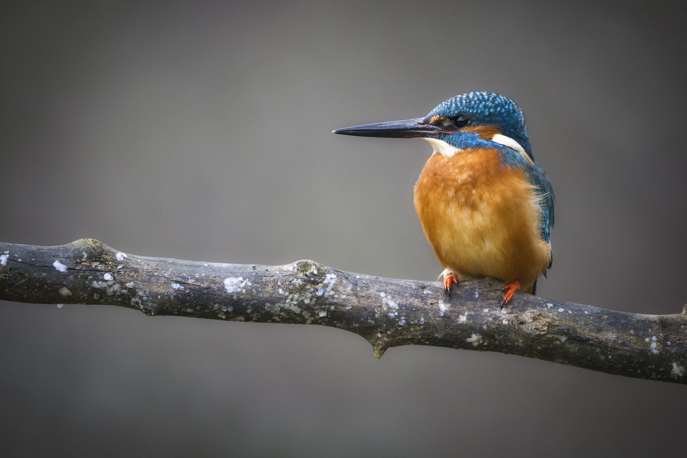 Andiamoci piano, fa ancora freddo