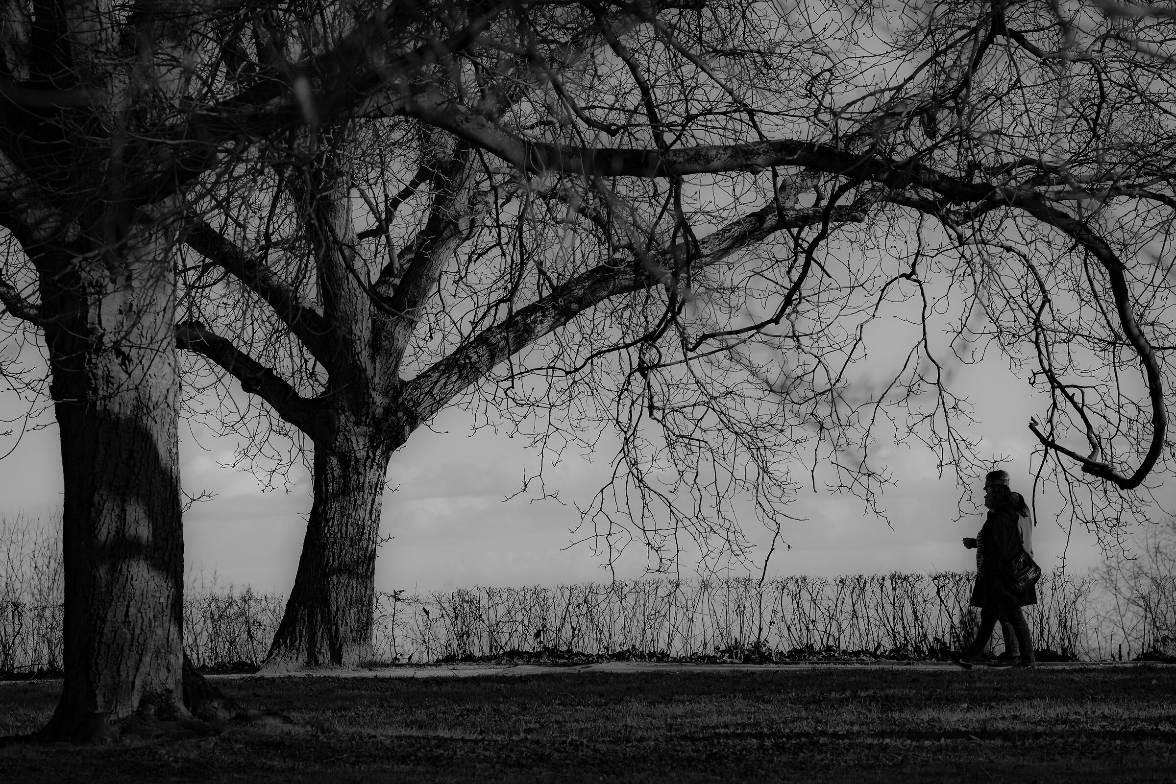 Walk to the park