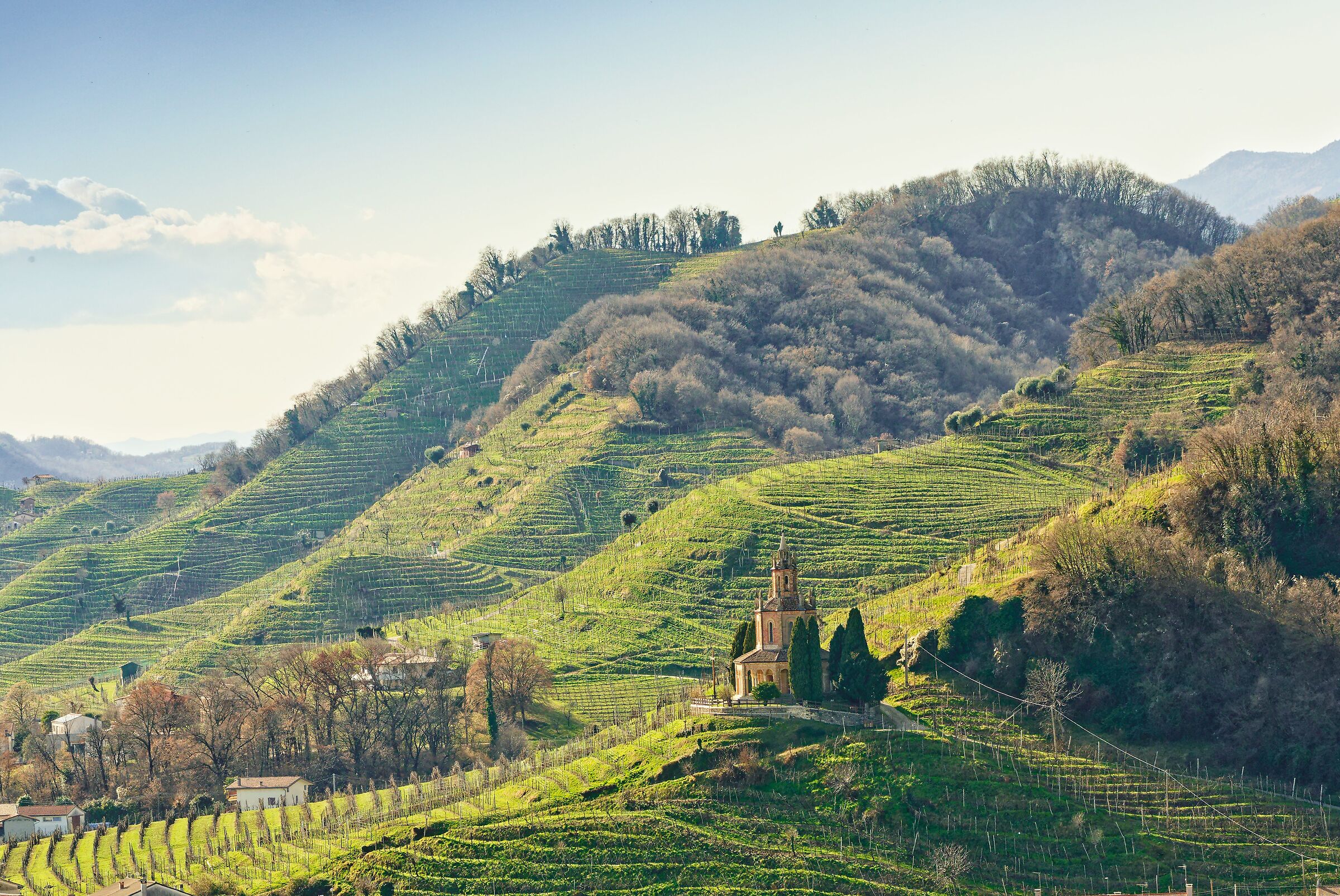 The hills of Prosecco