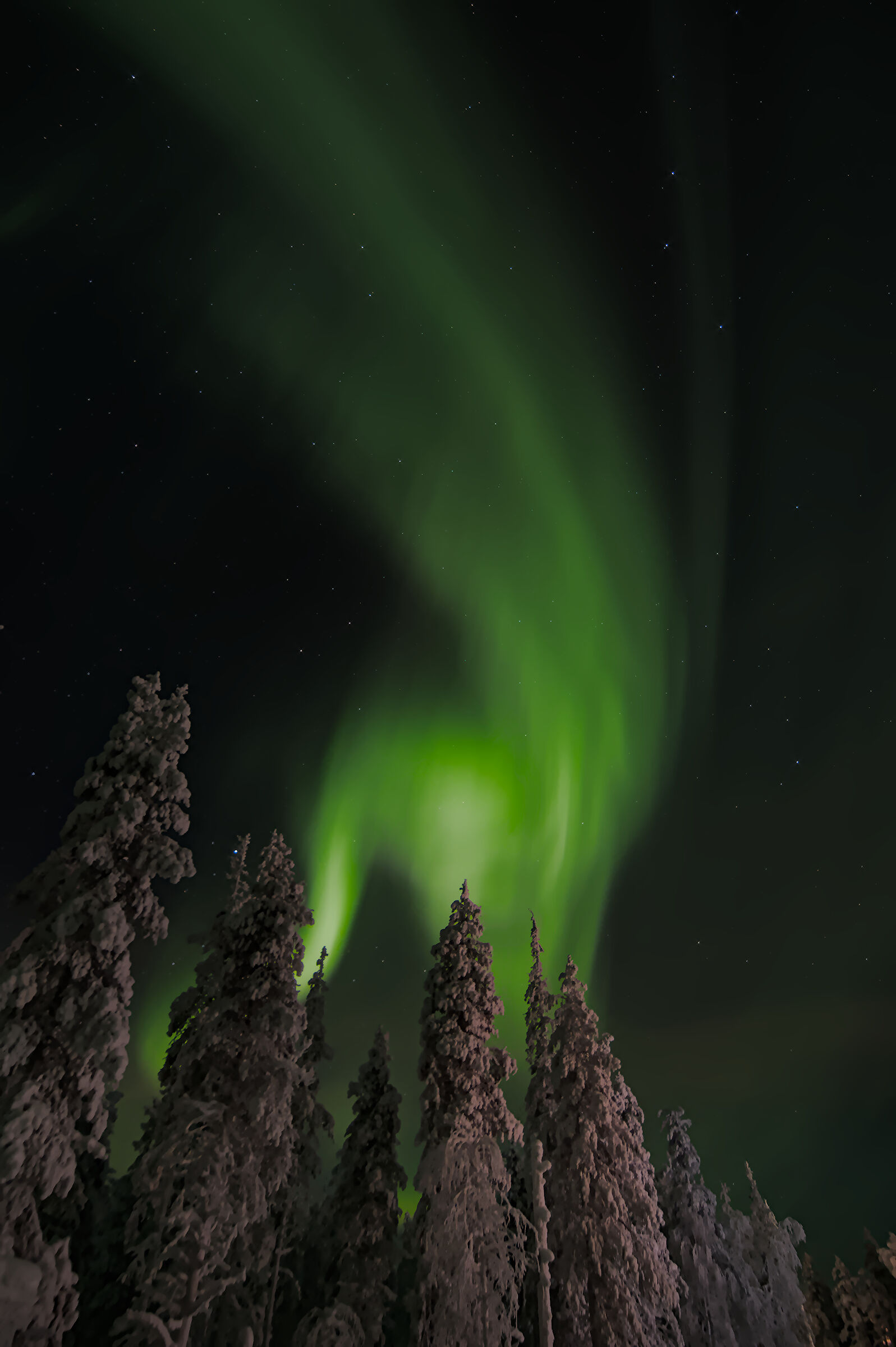 Aurora Dancing in the Sky