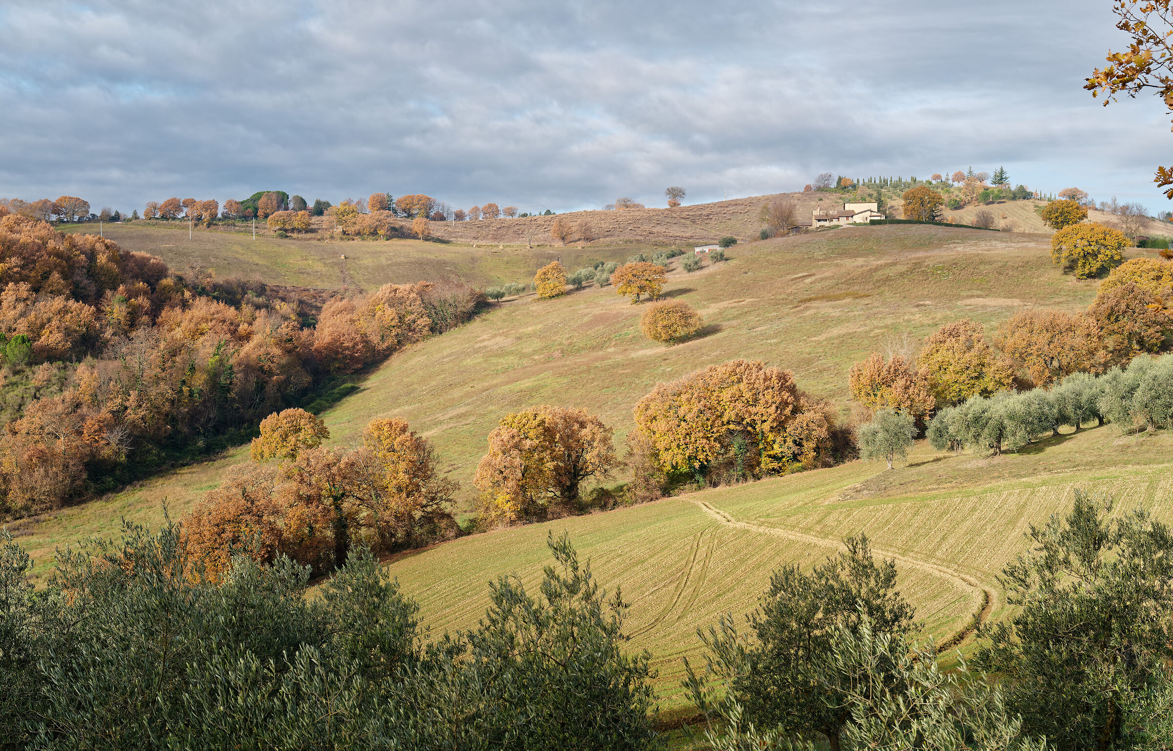 Umbria, 2025