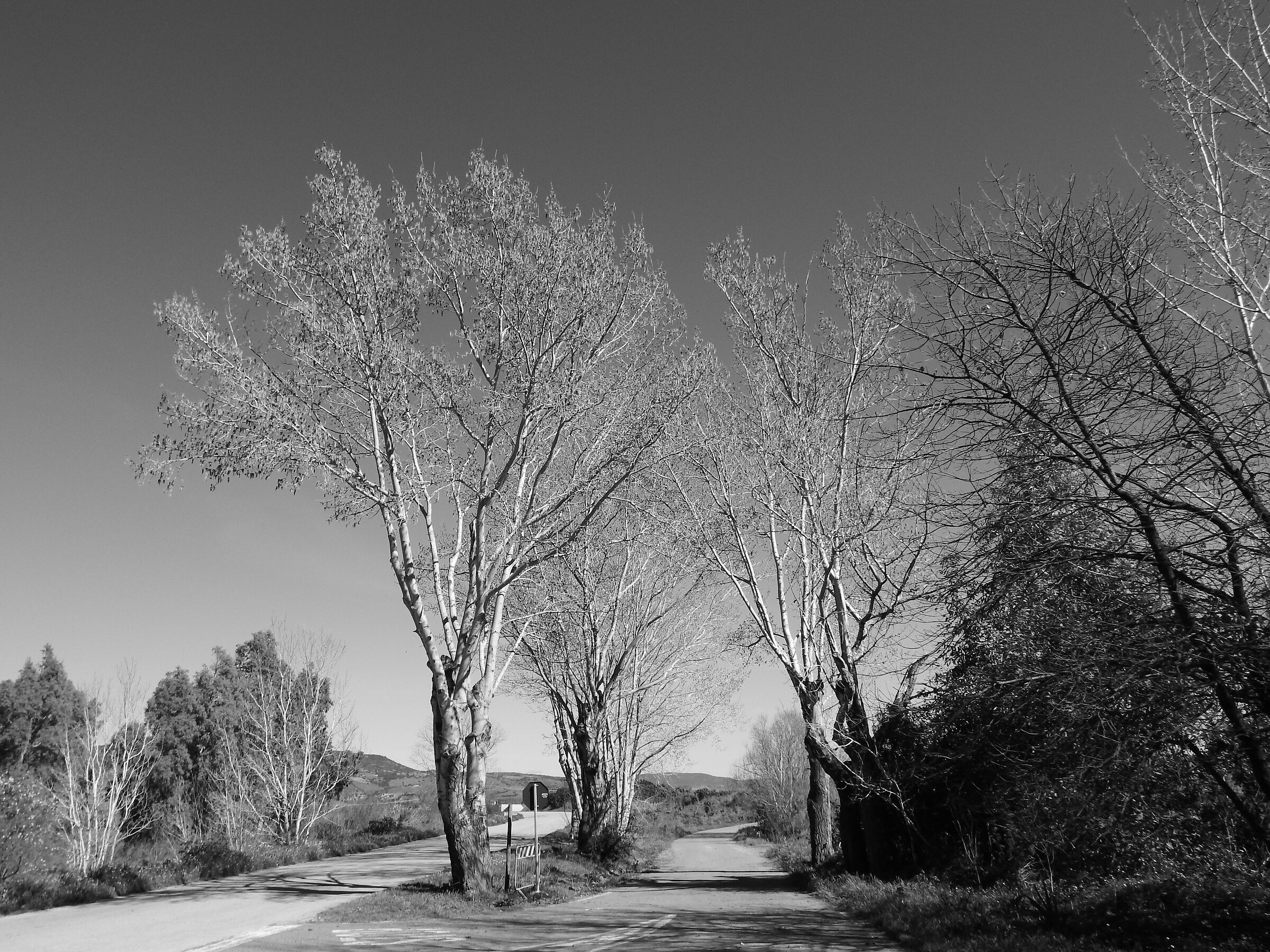 Blackandwhite