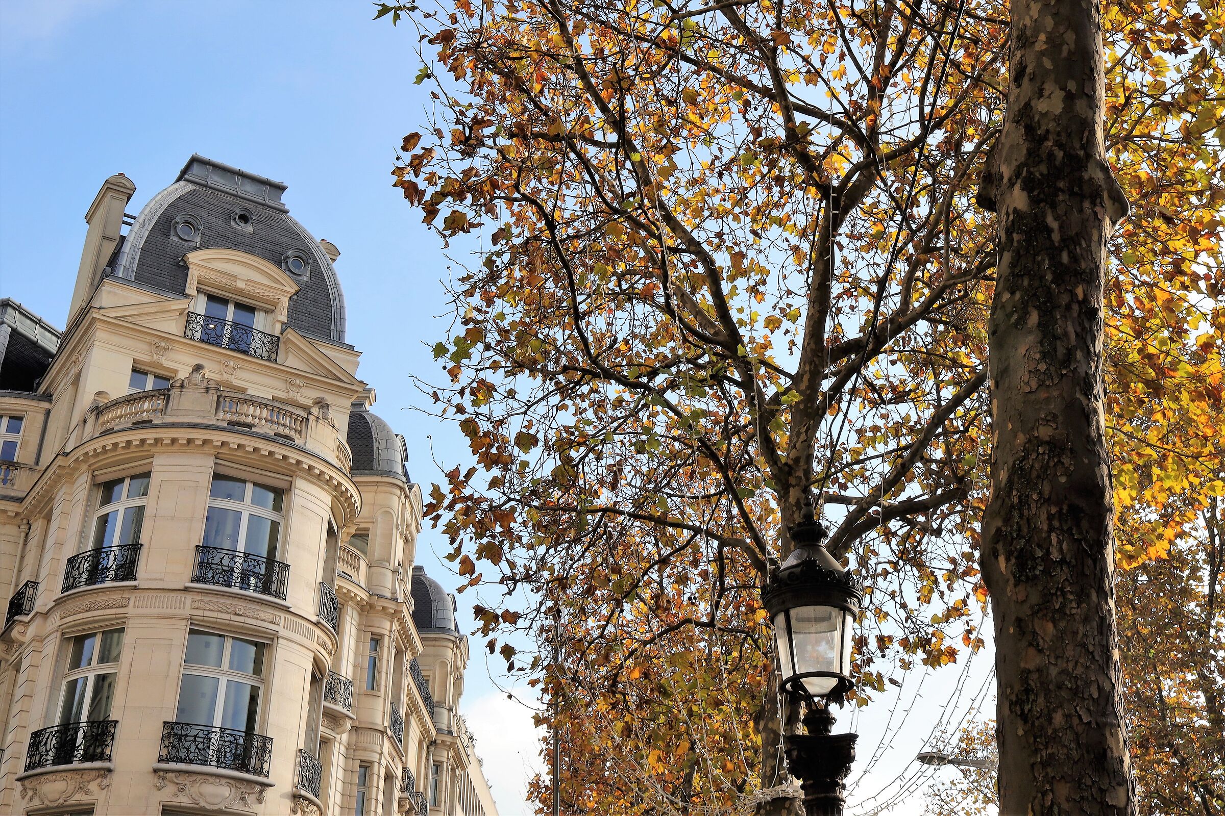 Paris 10