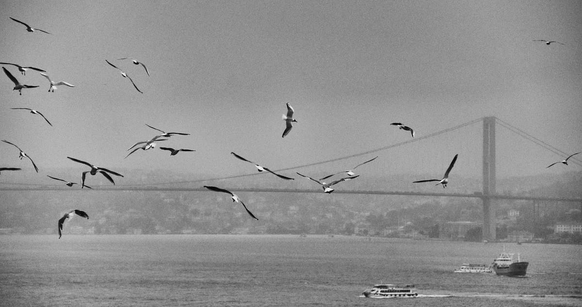 The flight between continents