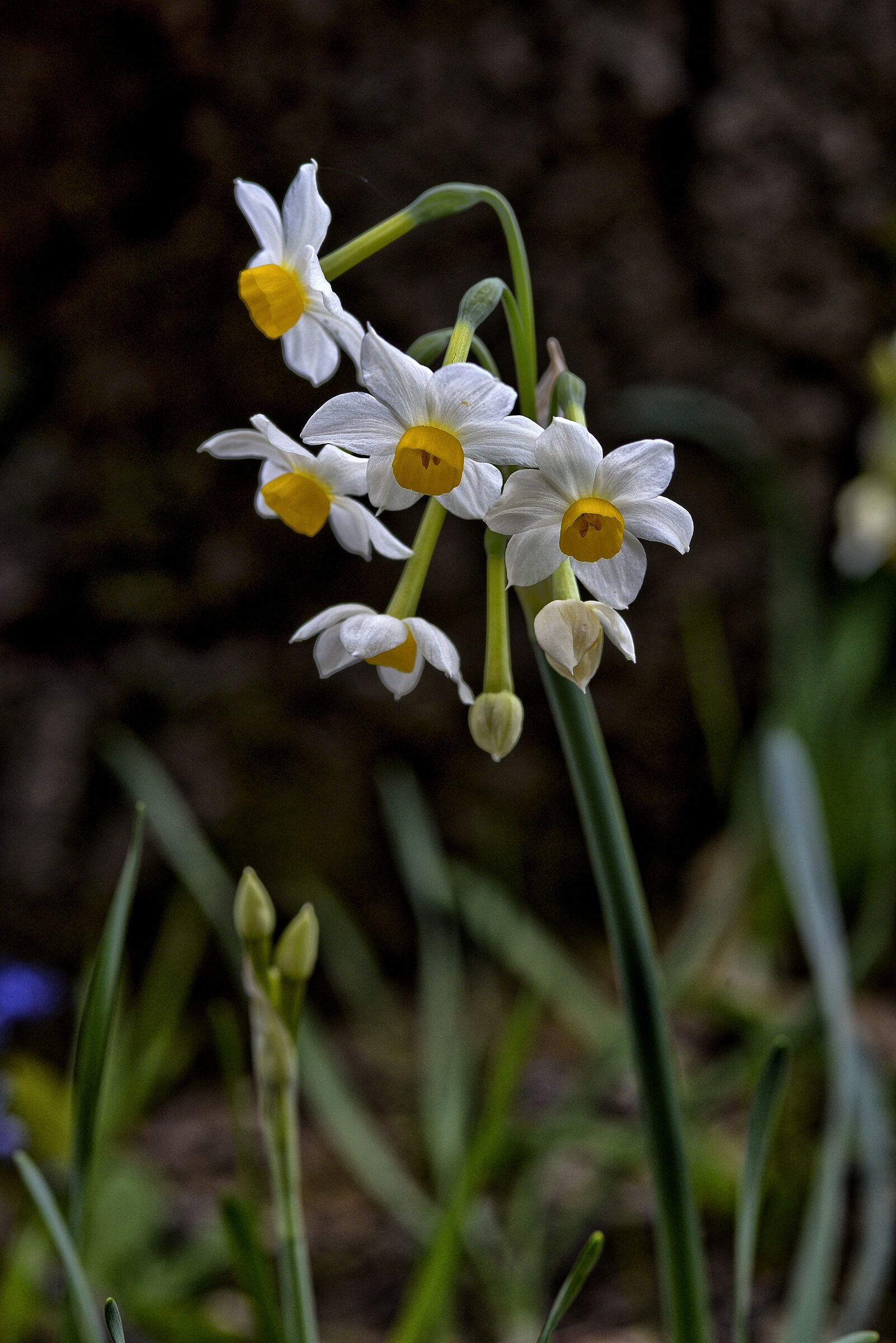 Untitled Photo