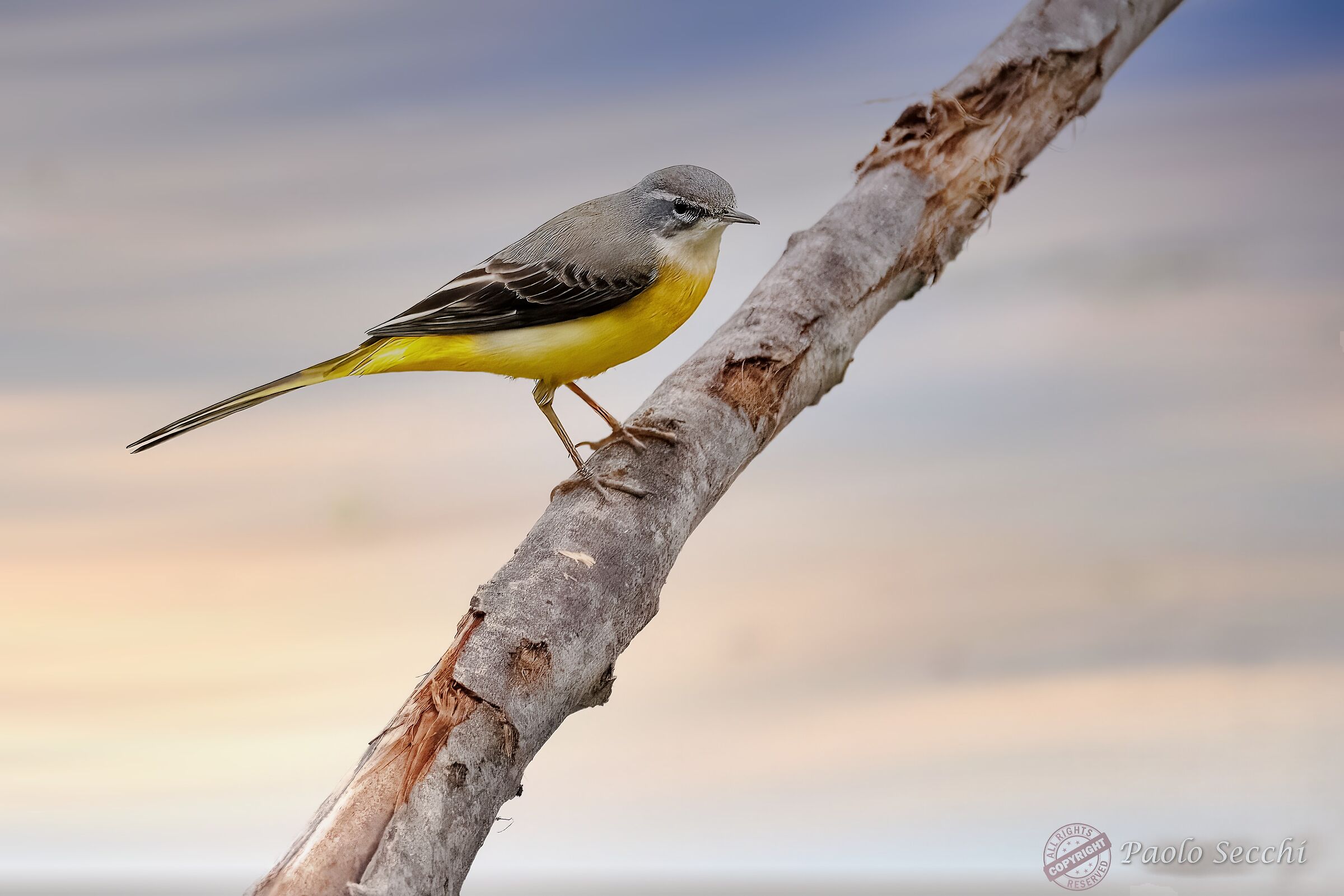 Beautiful... even when he is not dancing!