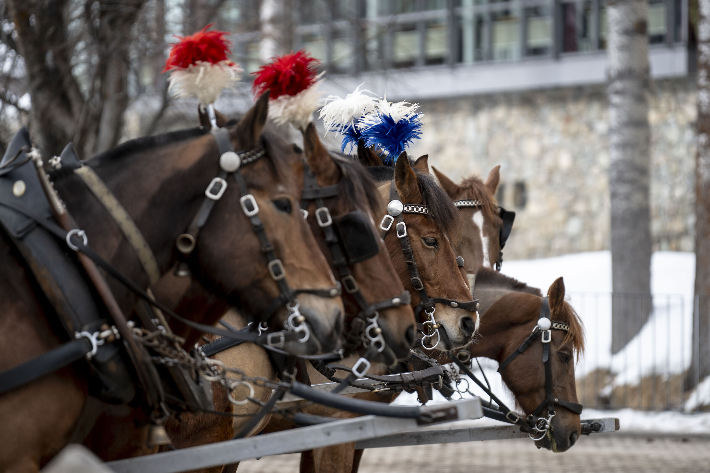 When carriages are stationary