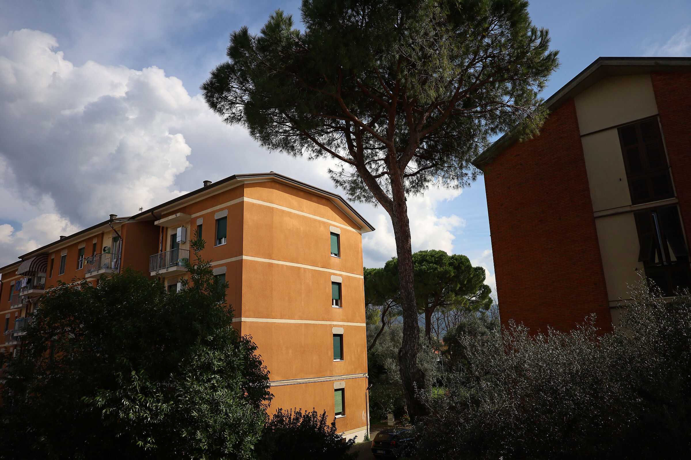 Canon RF24-50 su EOS RP